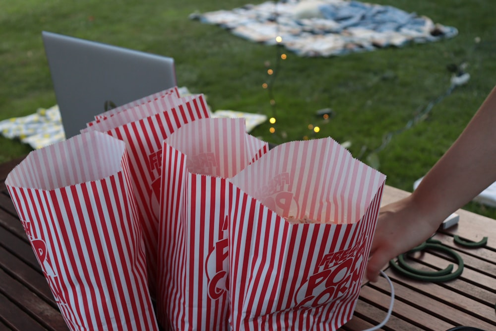 a pair of red and white striped paper bags on a picnic table