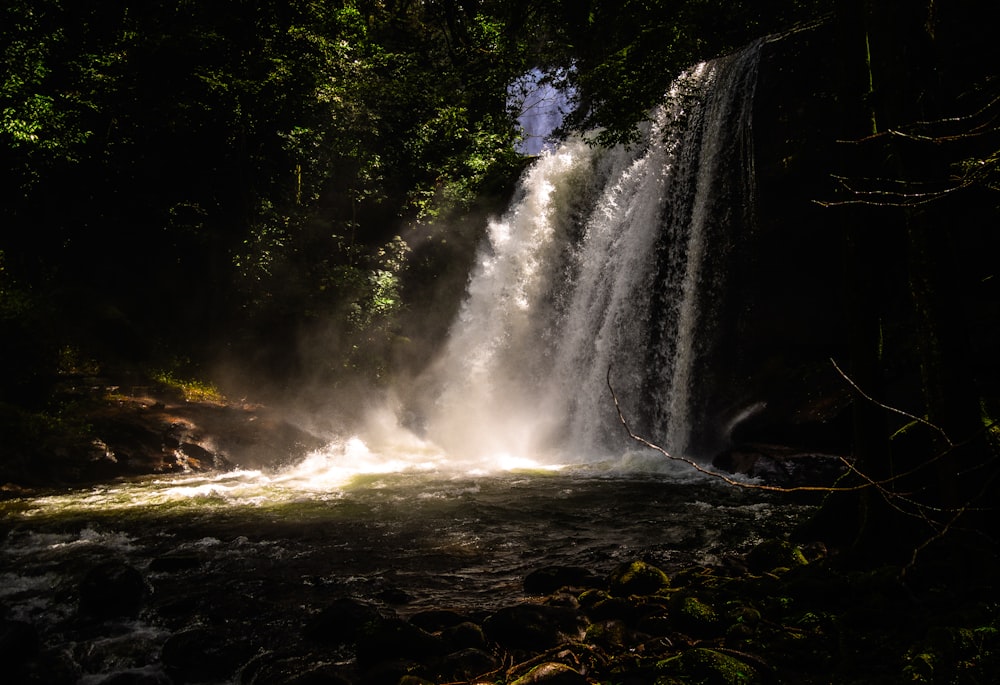 a large waterfall in the middle of a forest