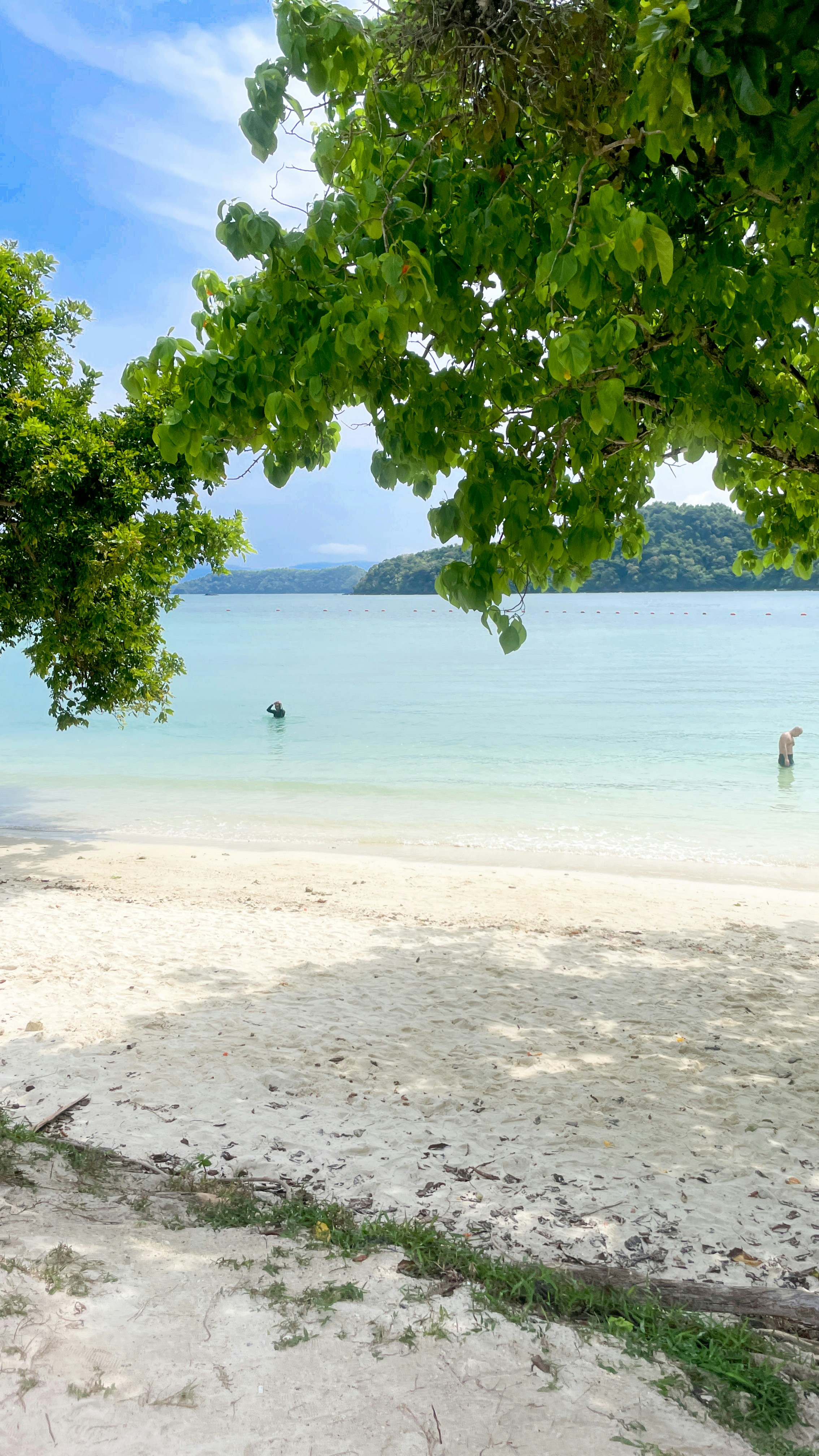 Photo by yokonoito0512