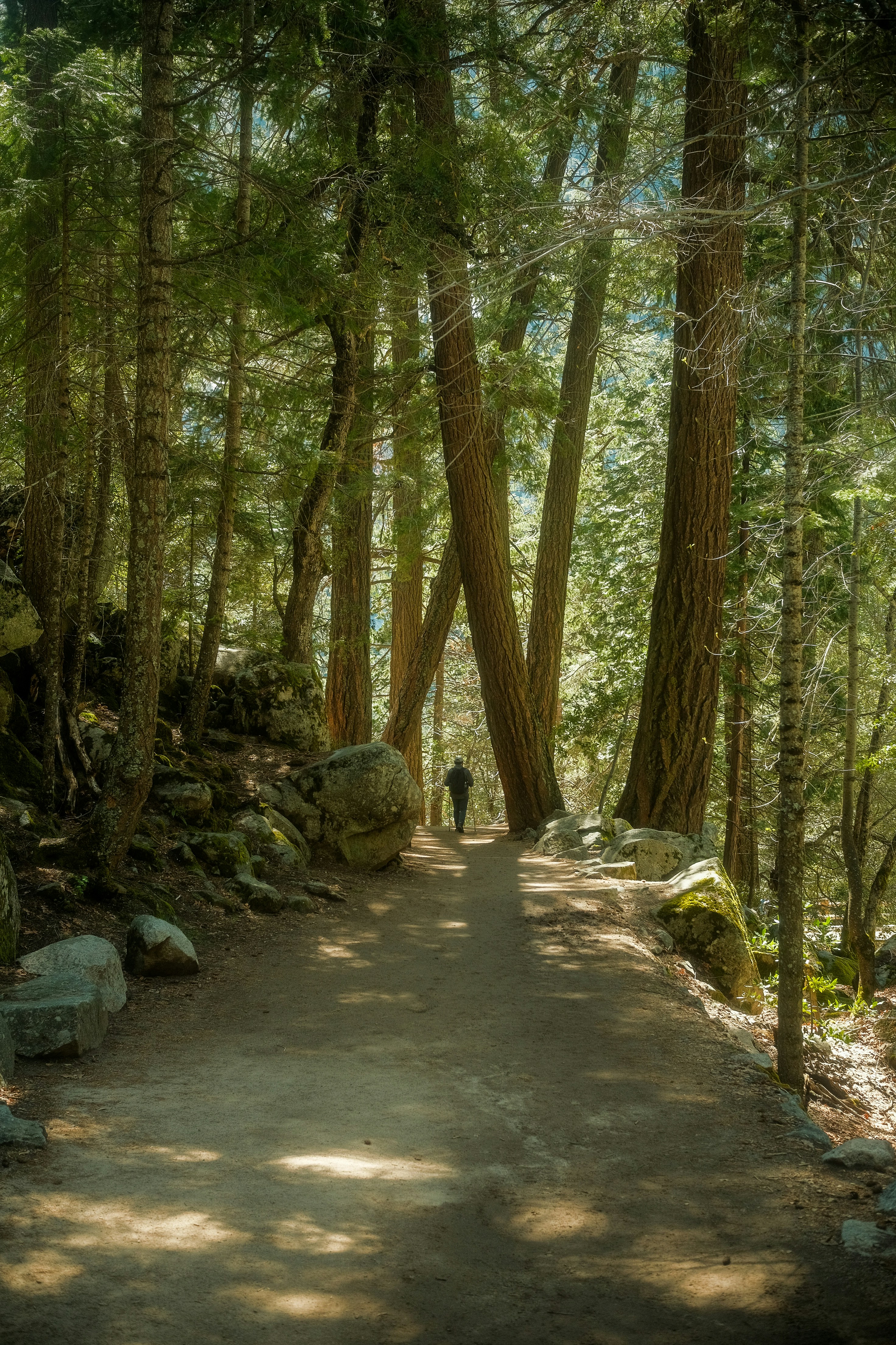 Photo by david_moorhouse