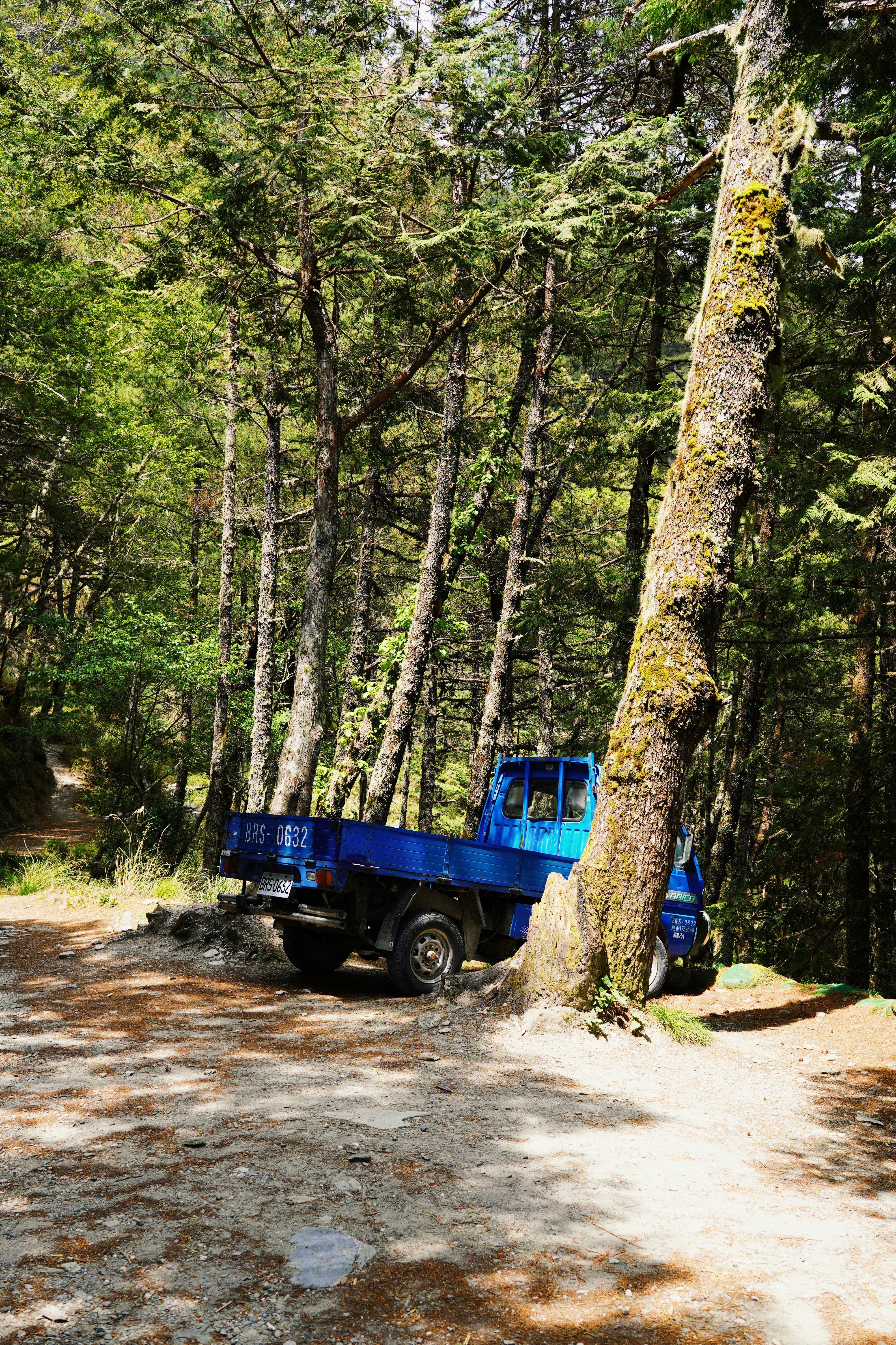 Gas-powered RC truck on dirt trail