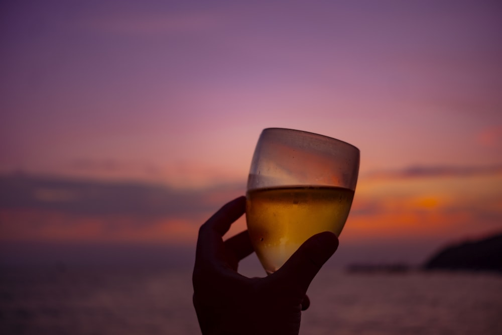 a person holding a wine glass in front of a sunset