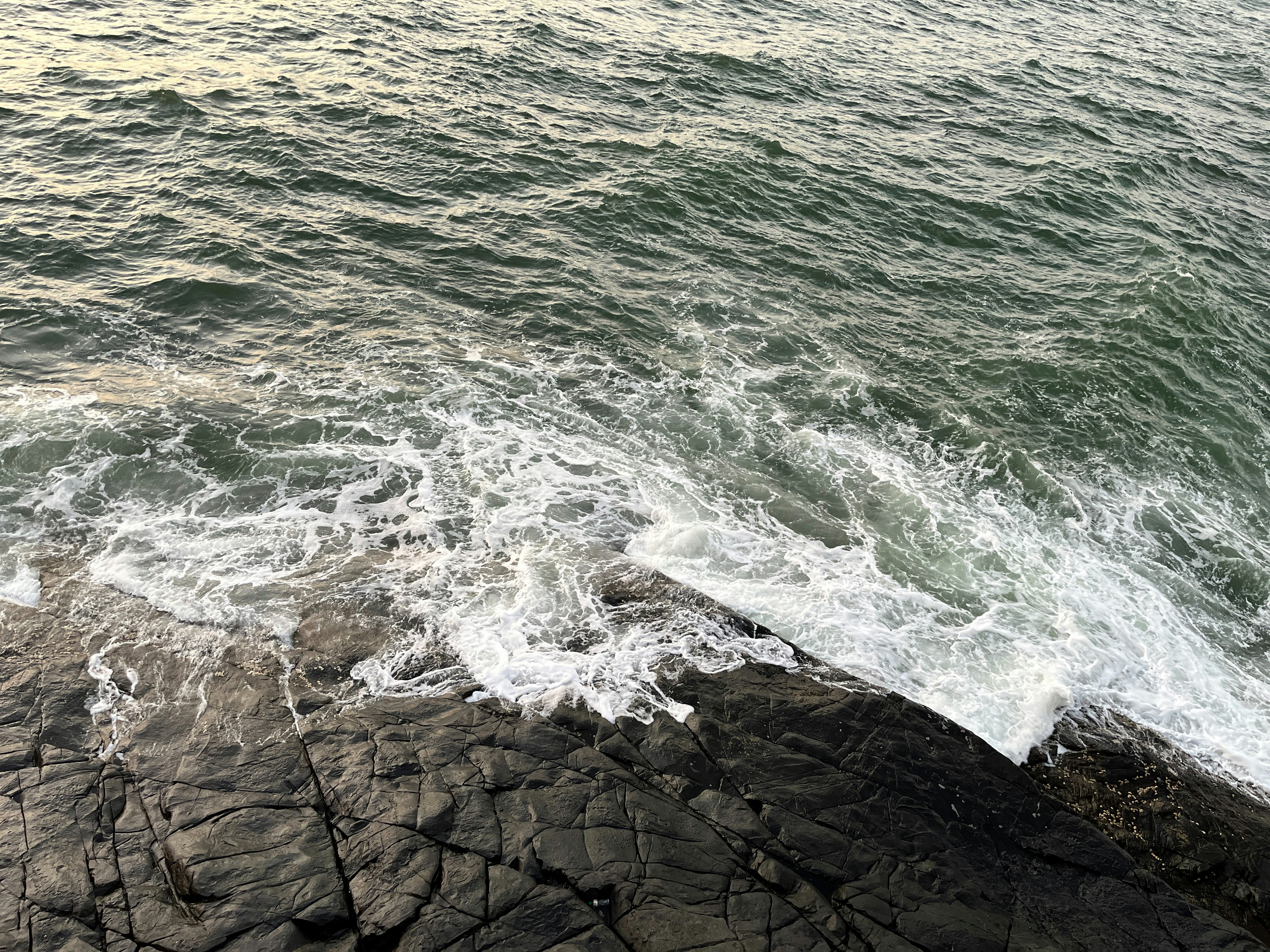 Photo by _ravichandra