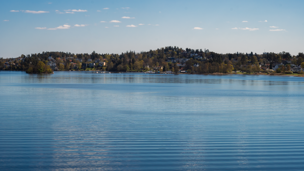 a large body of water with trees in the background