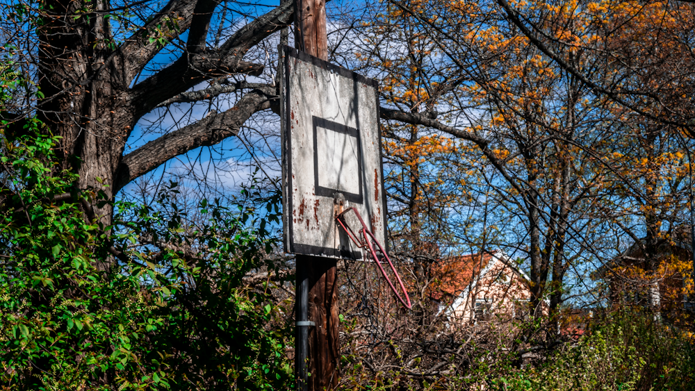 a basketball hoop in a wooded area with a house in the background