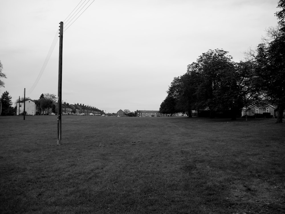 a black and white photo of a grassy field