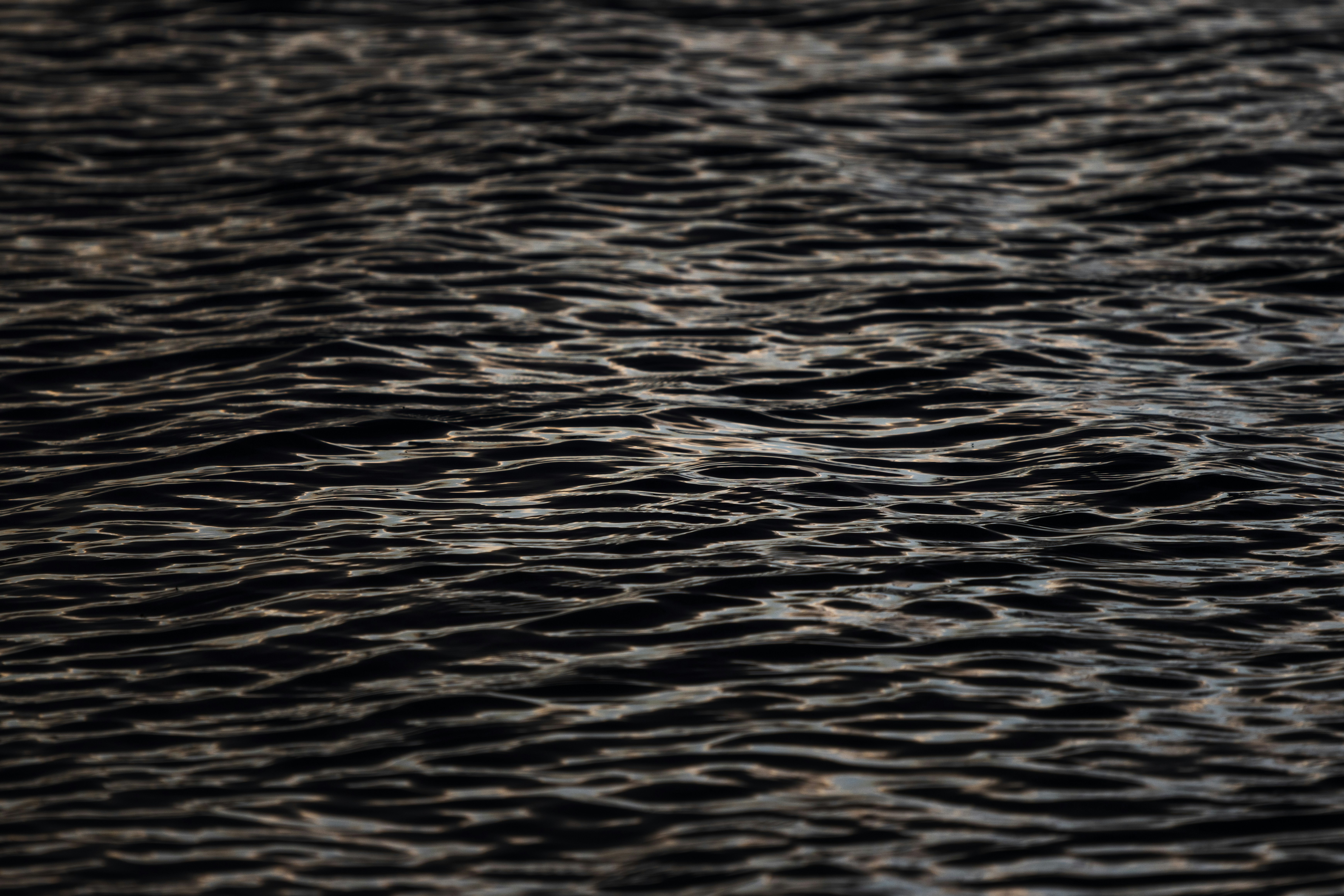 Photo by brandonstoll