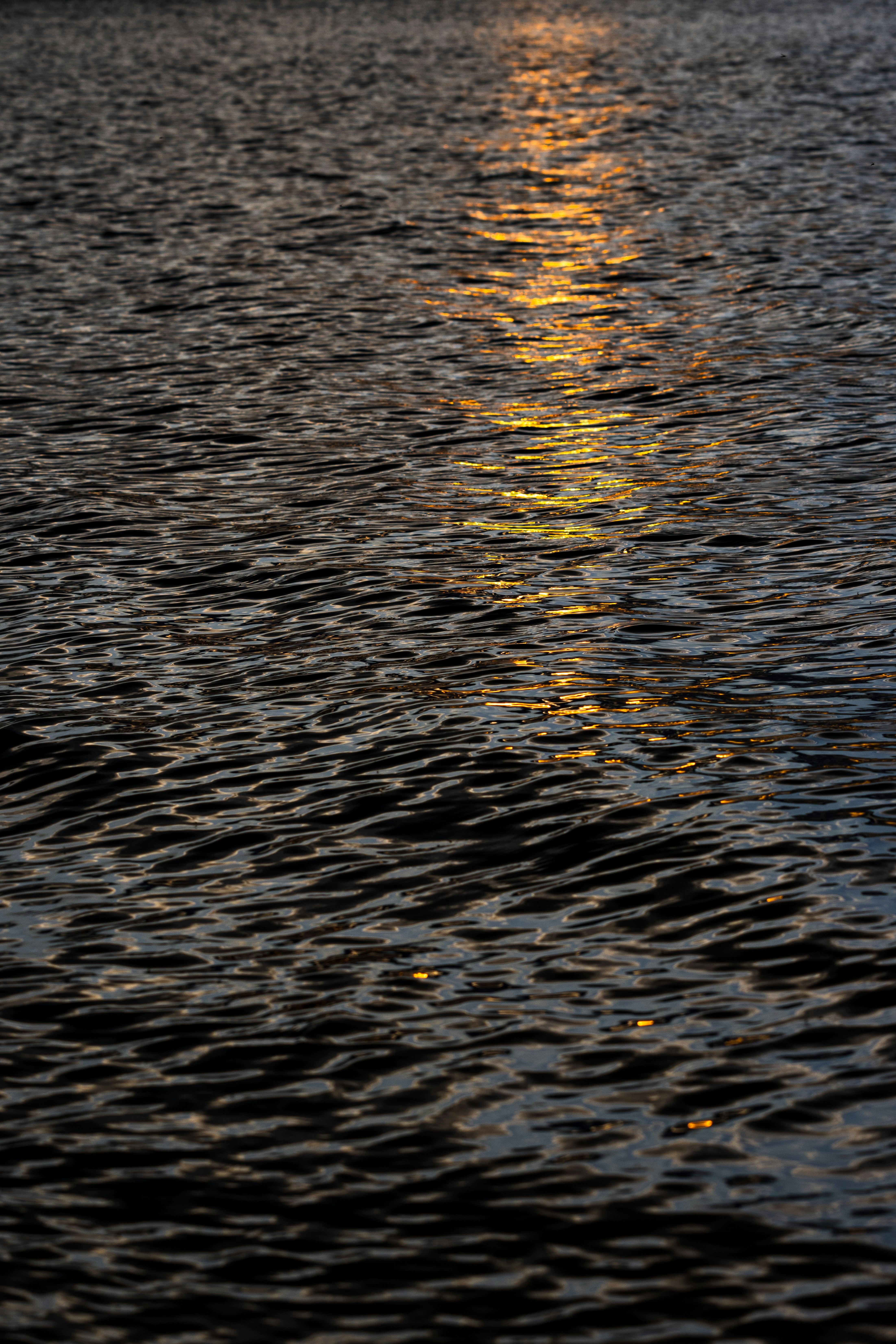 Photo by brandonstoll