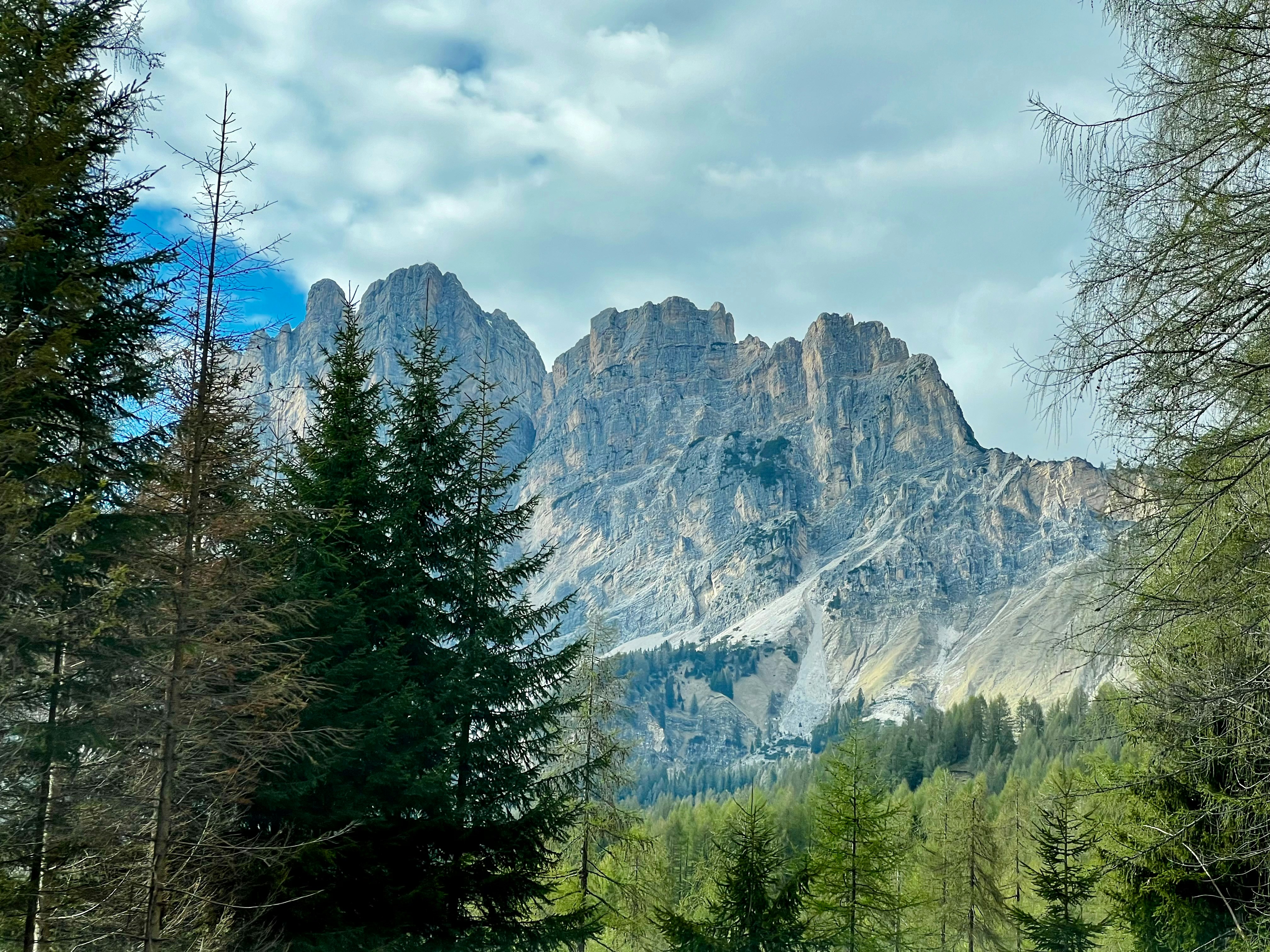 Photo by agnerhochuli