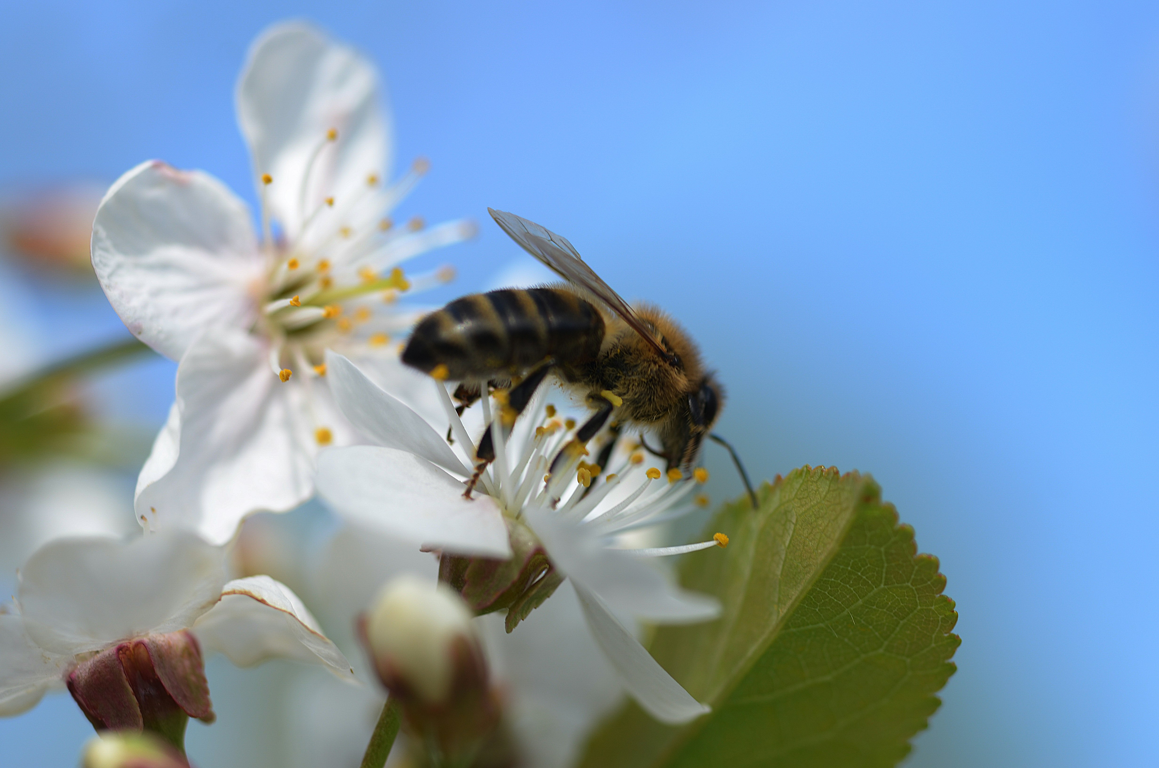 Photo by andrilliardbond