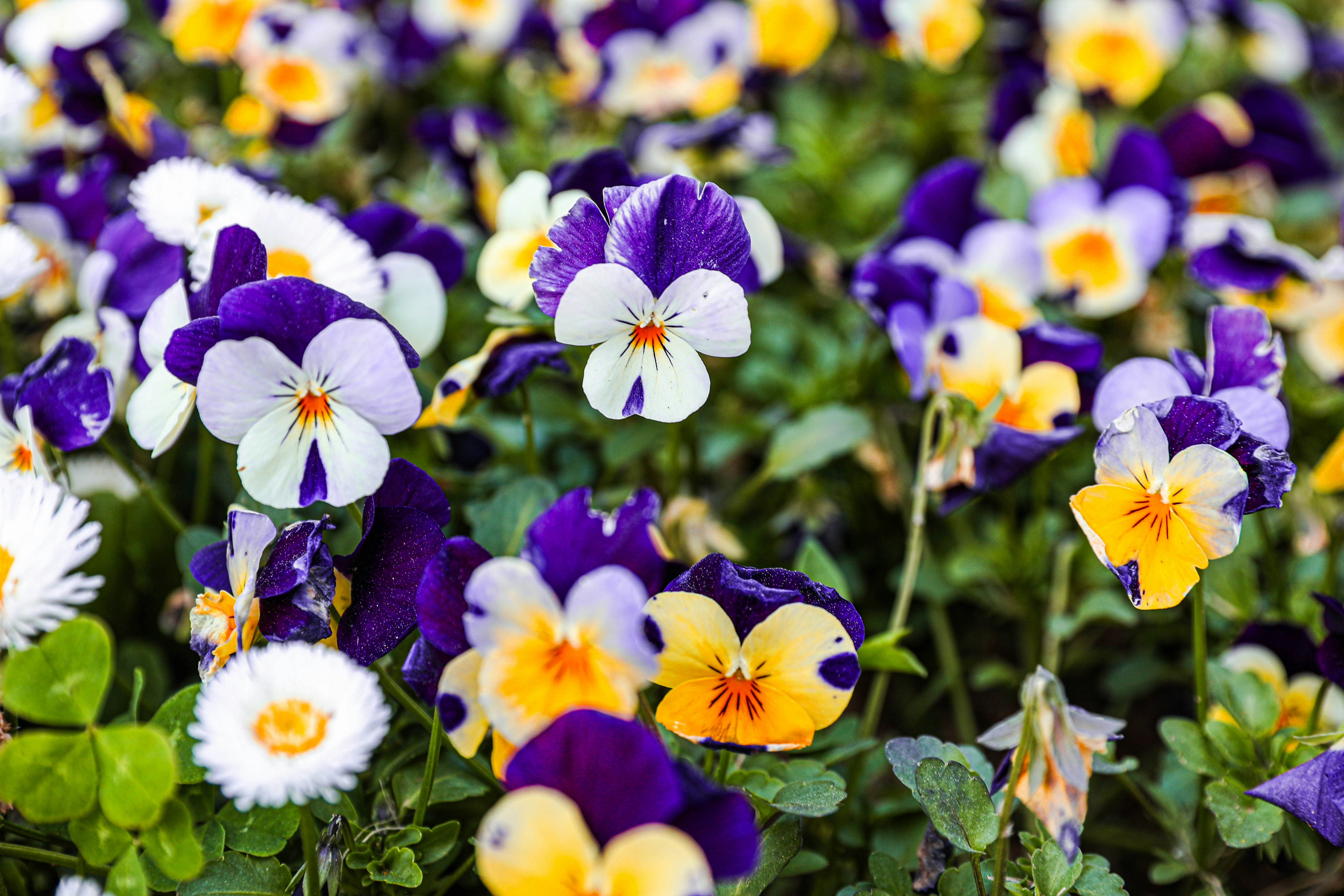 Photo by parkjaeyoung