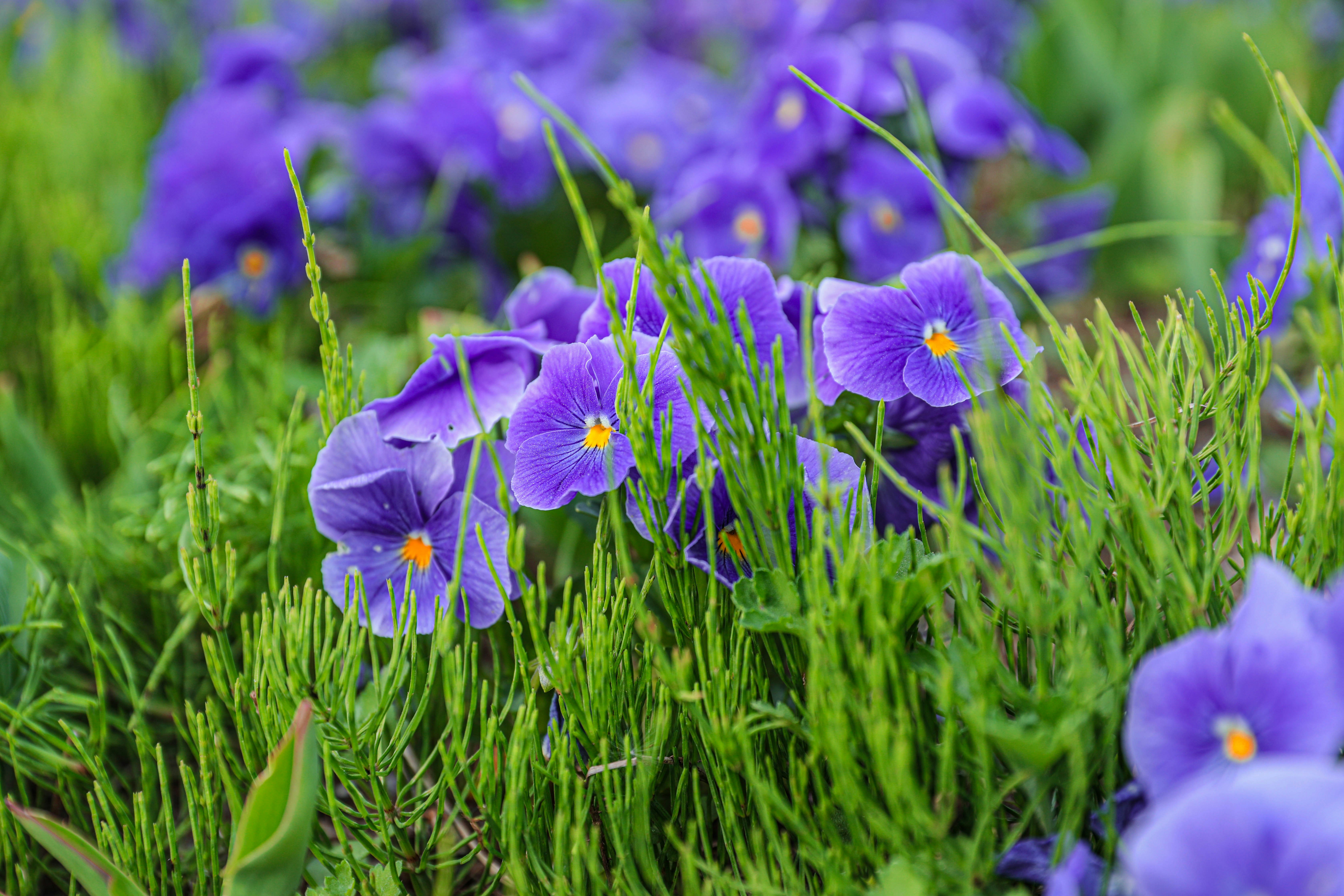 Photo by parkjaeyoung