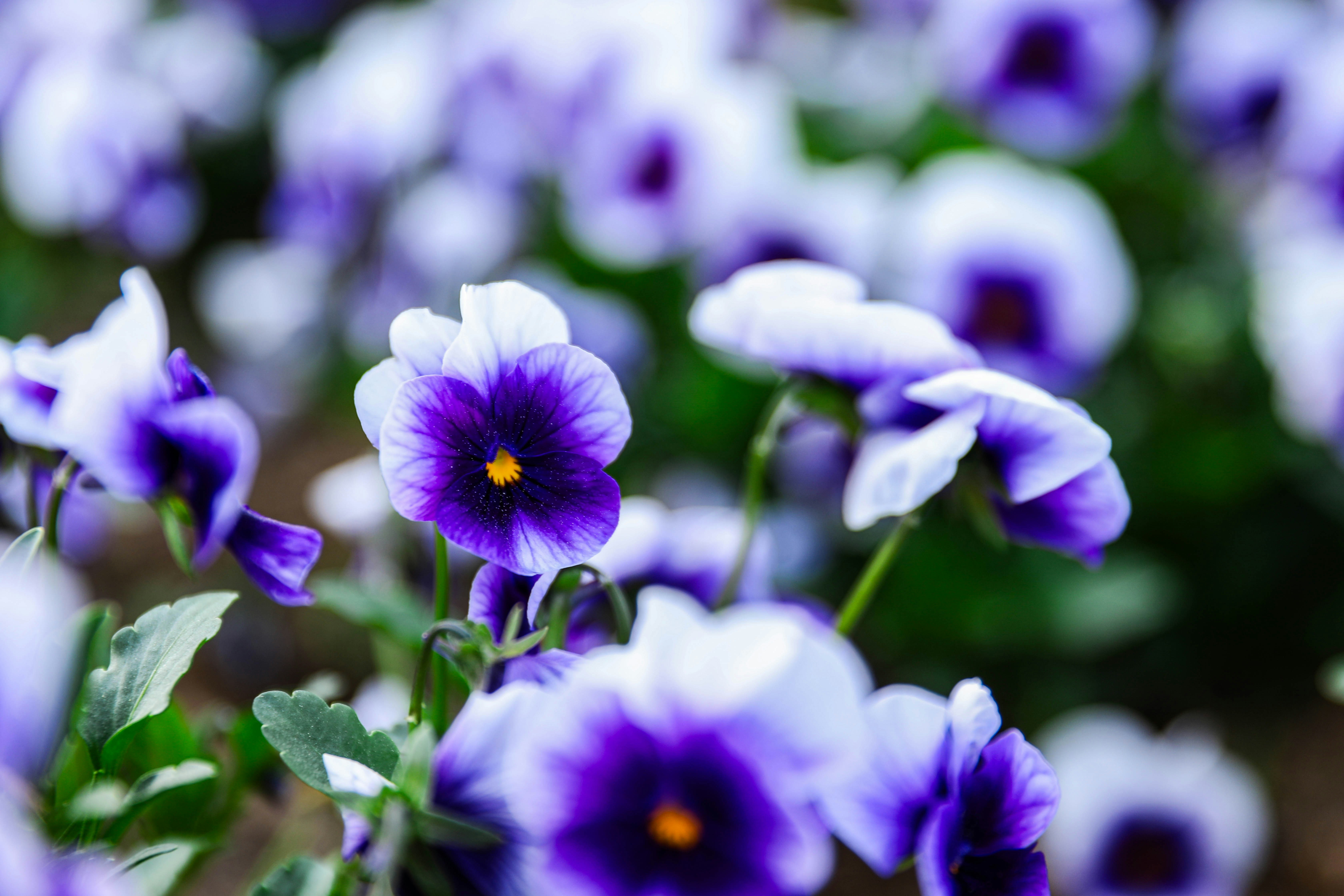 Photo by parkjaeyoung