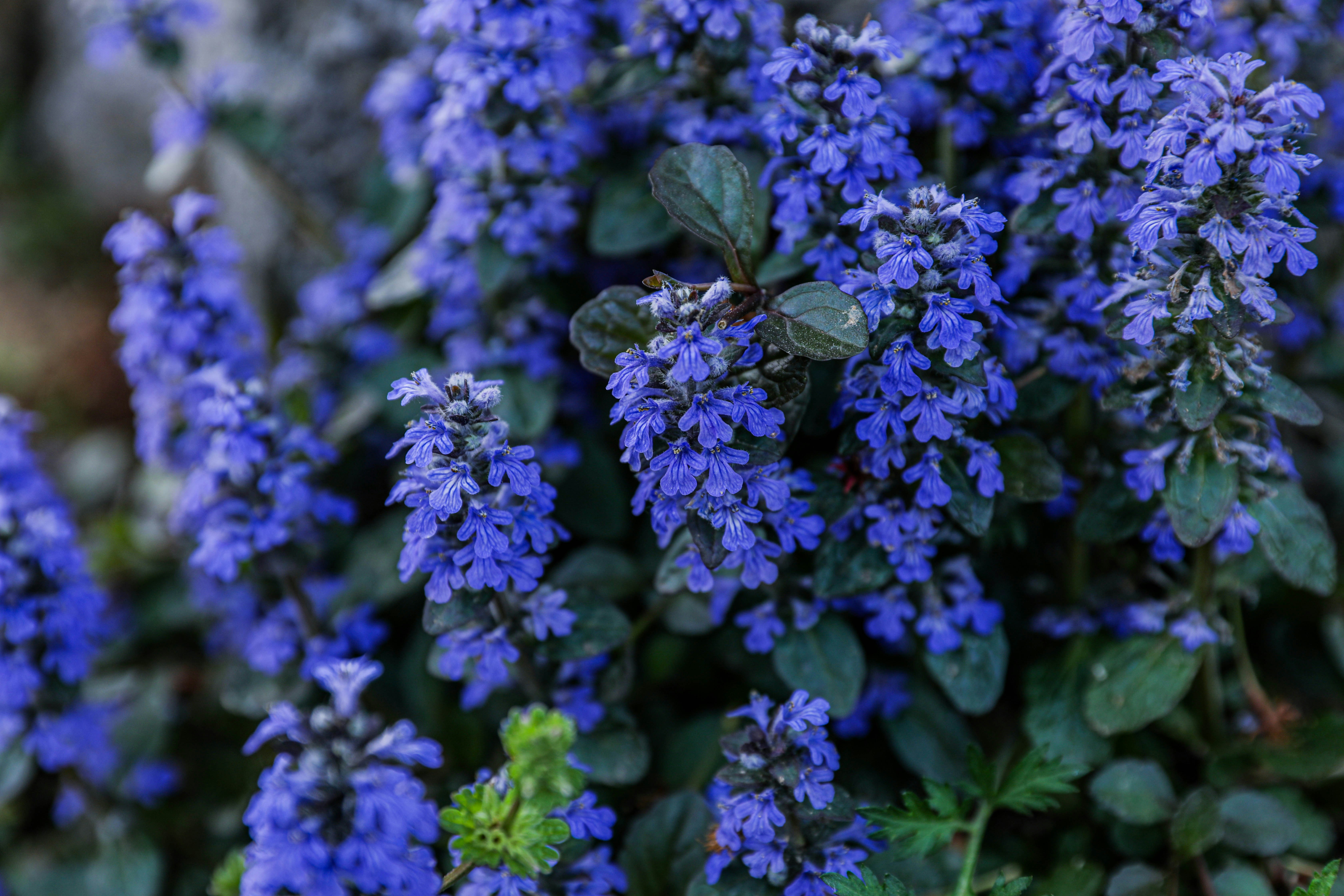 Photo by parkjaeyoung