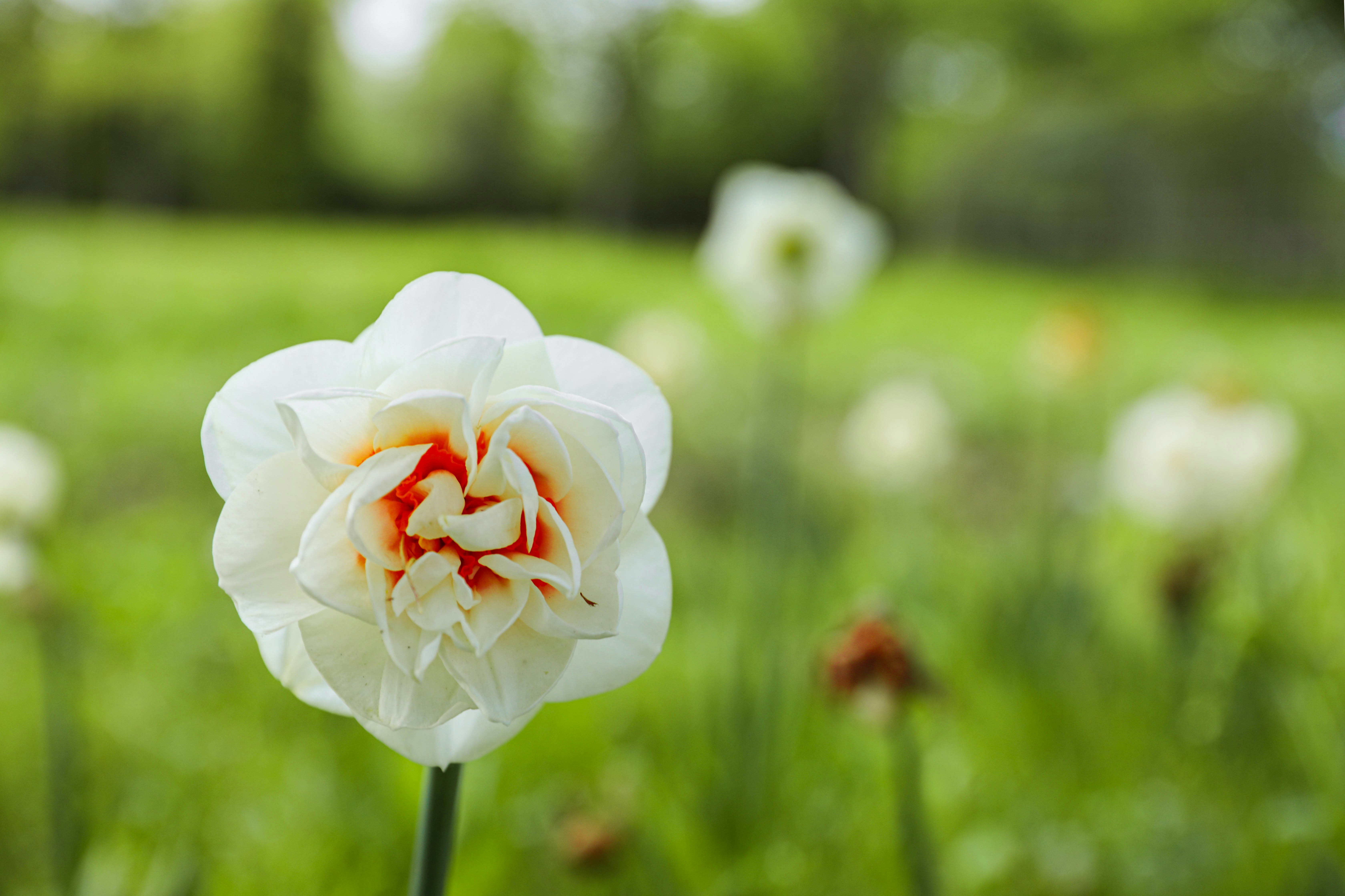 Photo by parkjaeyoung