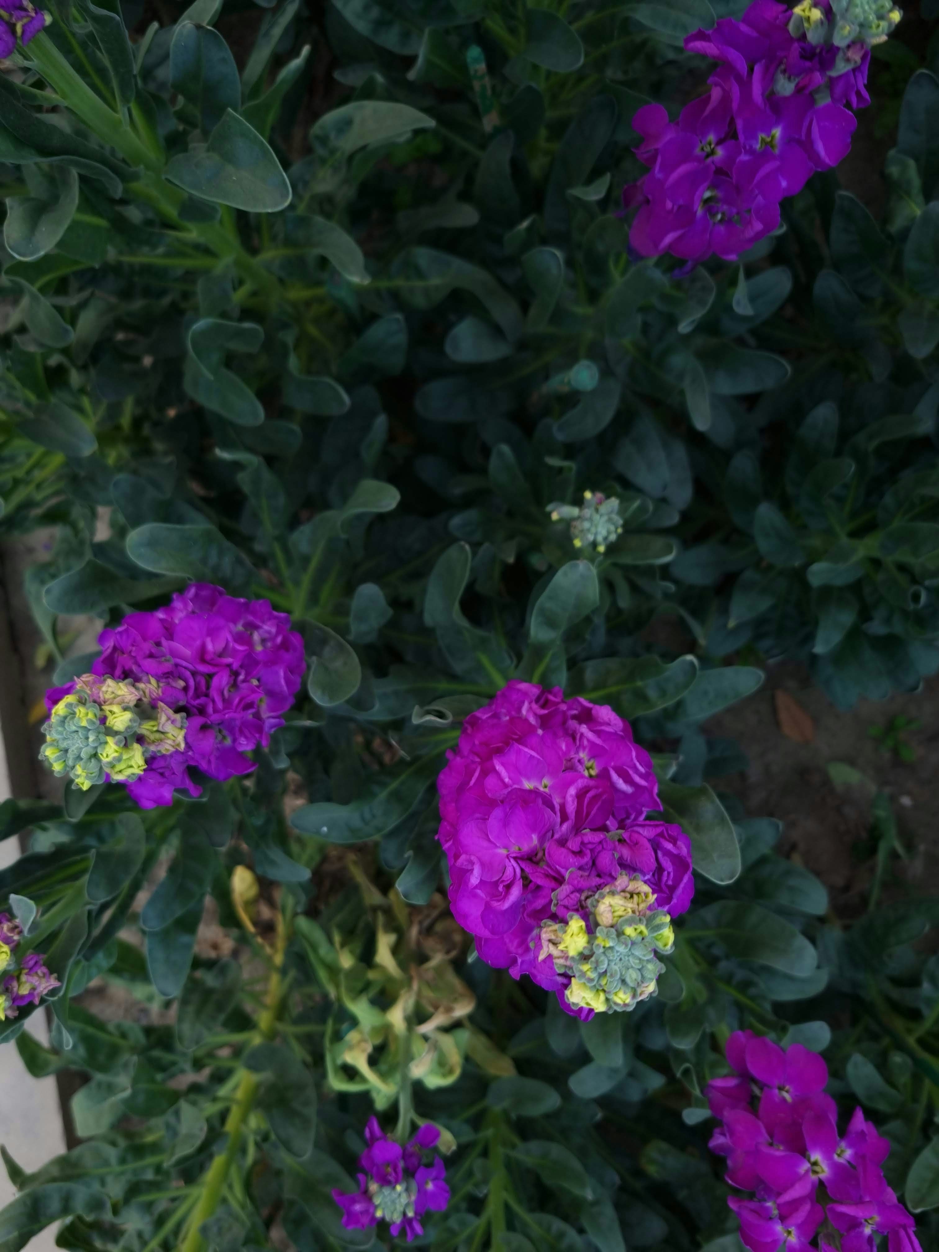 Photo by riya_parker