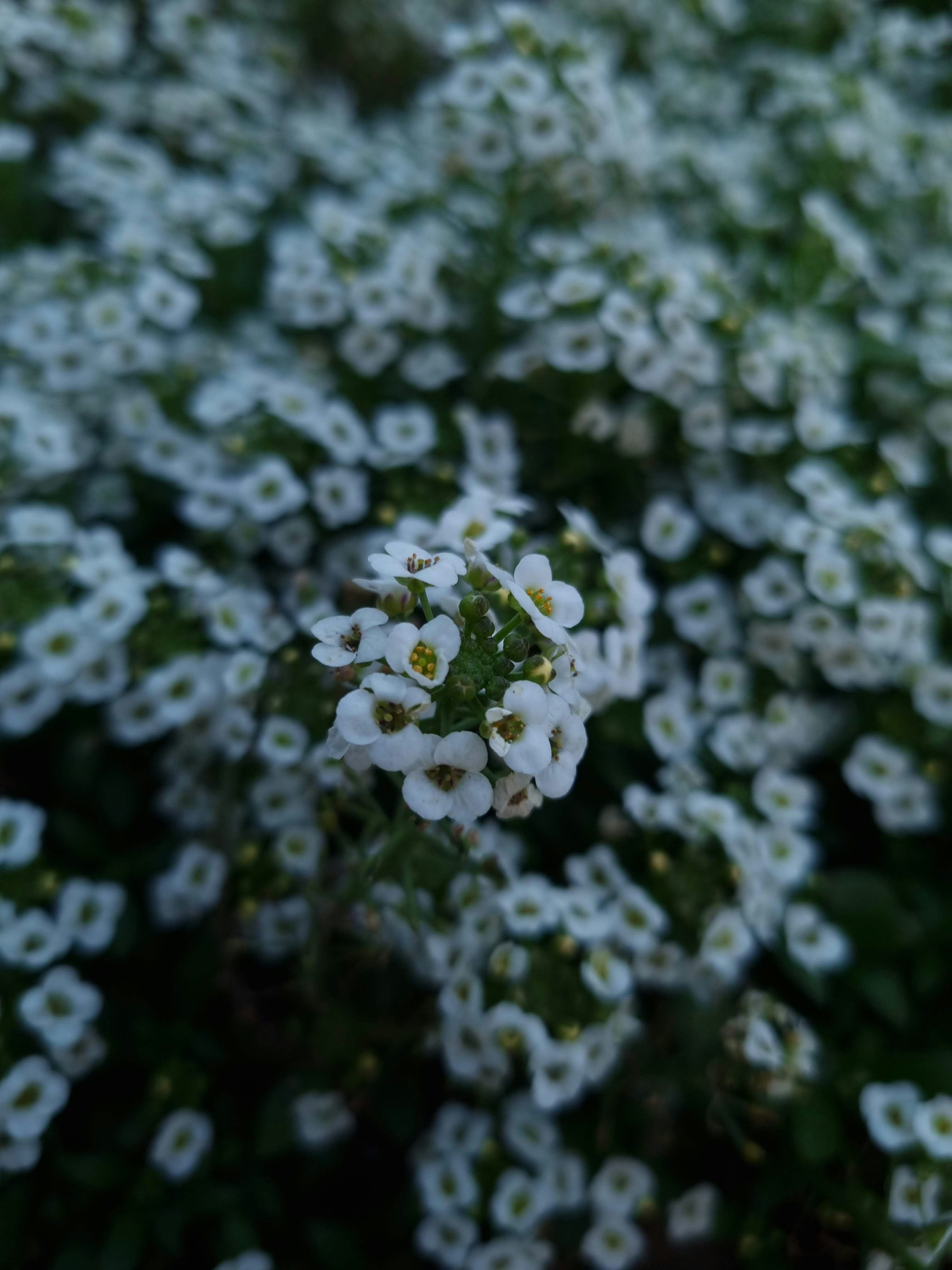 Photo by riya_parker