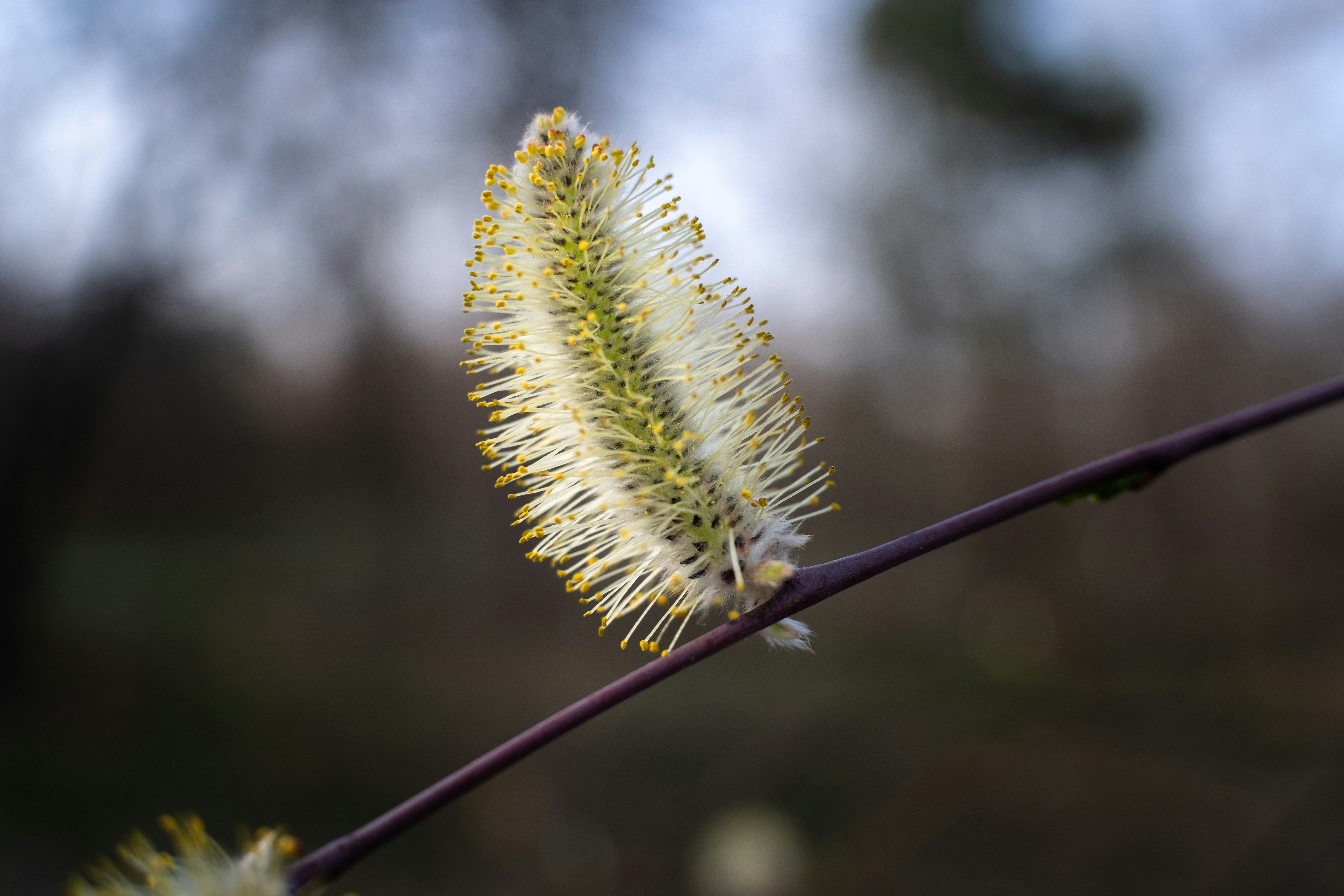 Photo by sevencolors