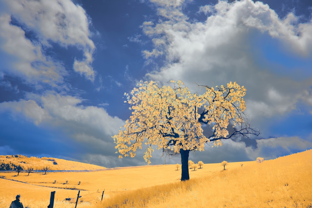 a lone tree in a yellow field under a cloudy sky