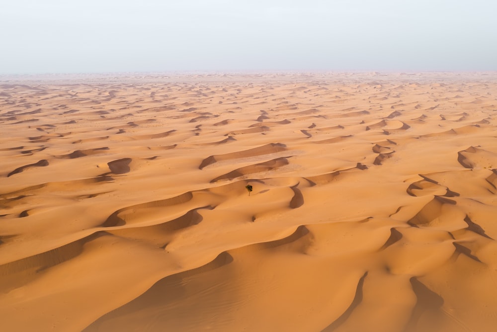 a vast expanse of sand dunes in the desert