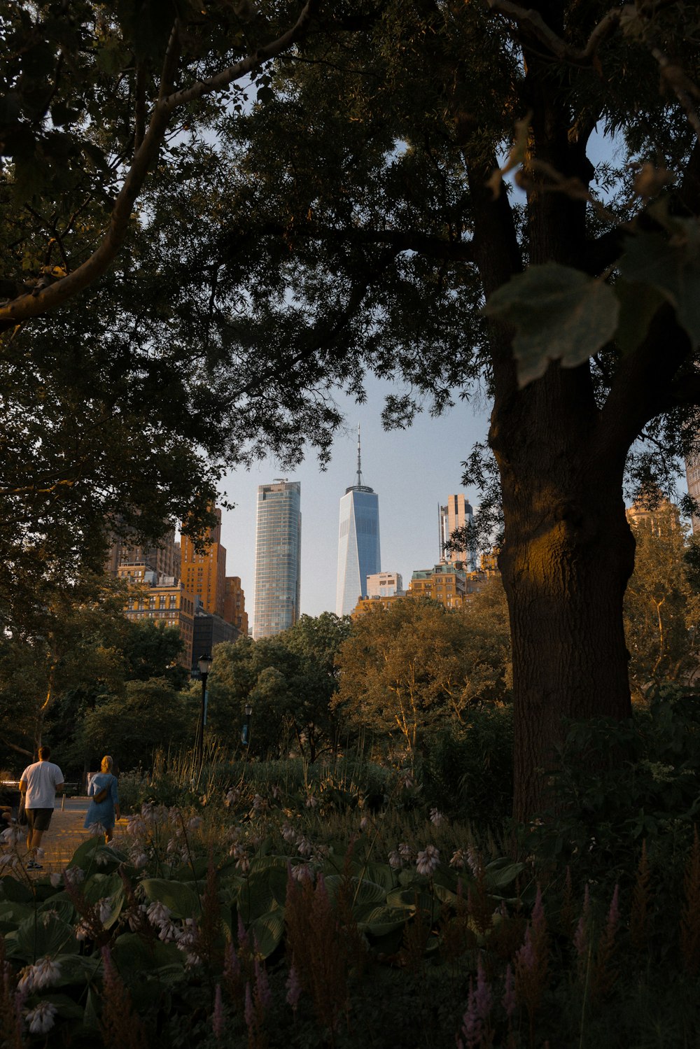 a couple of people sitting on a bench under a tree