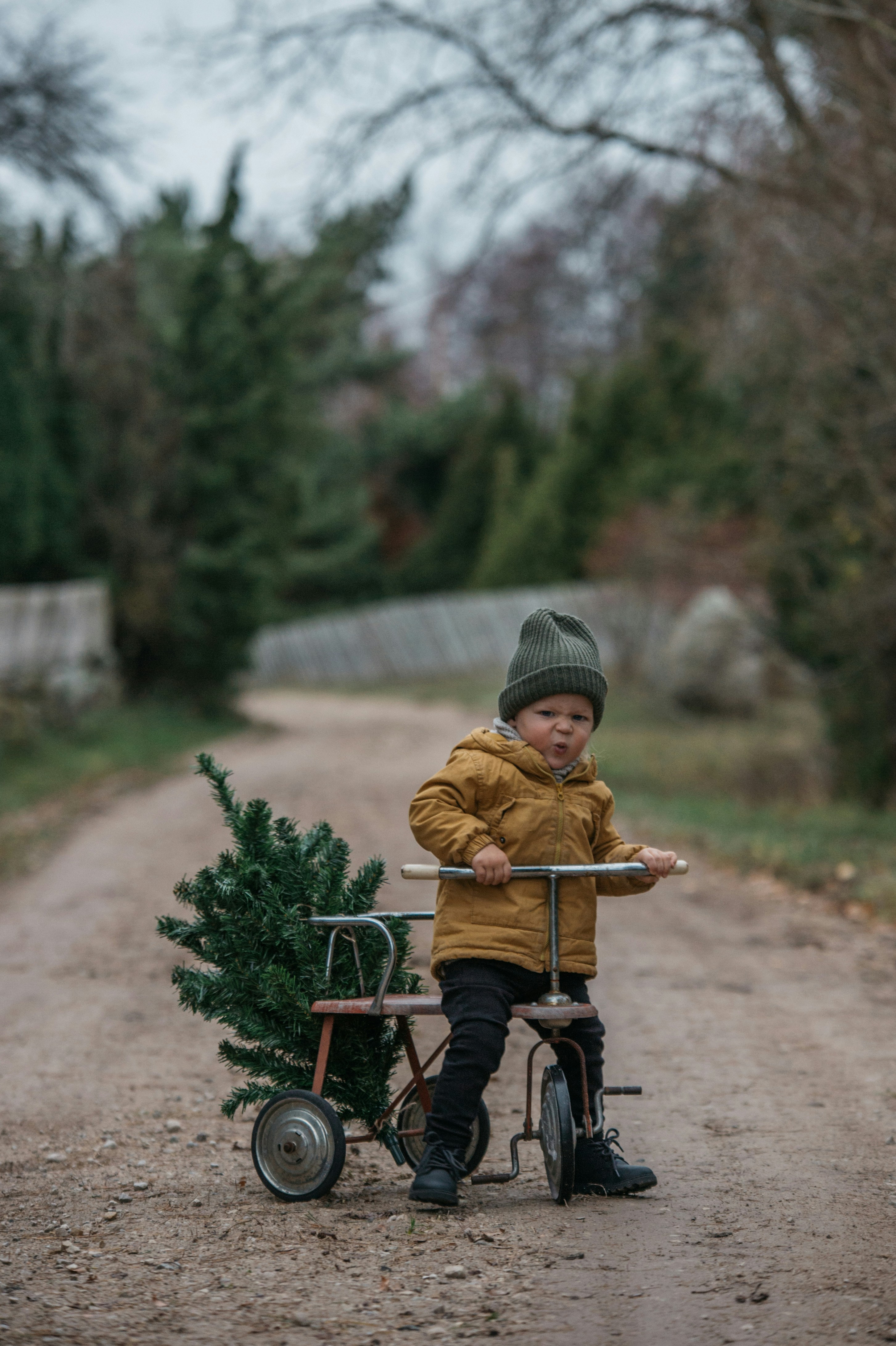 a young boy riding a bike with a christmas tree on the back
