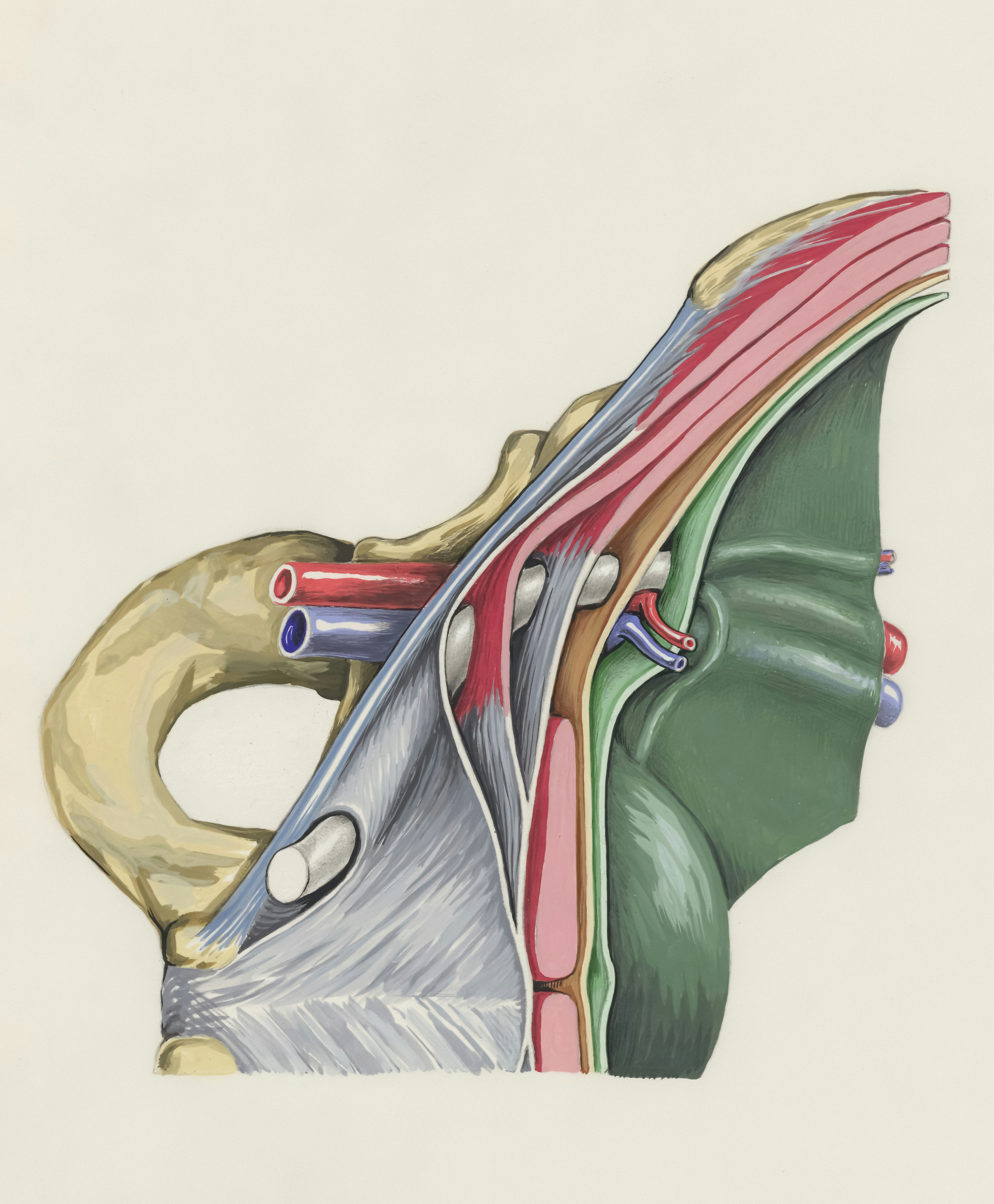 Heart Diseases Defined: Unmasking the Silent Killer