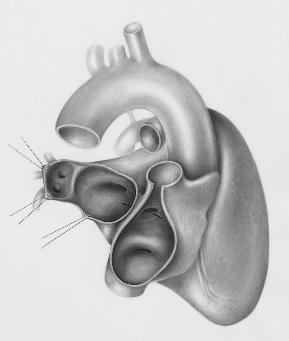 a drawing of a heart and a mouse