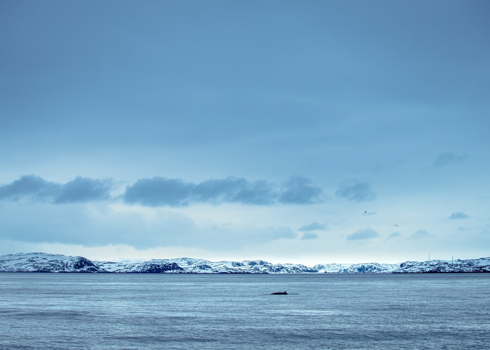 a large body of water with mountains in the background