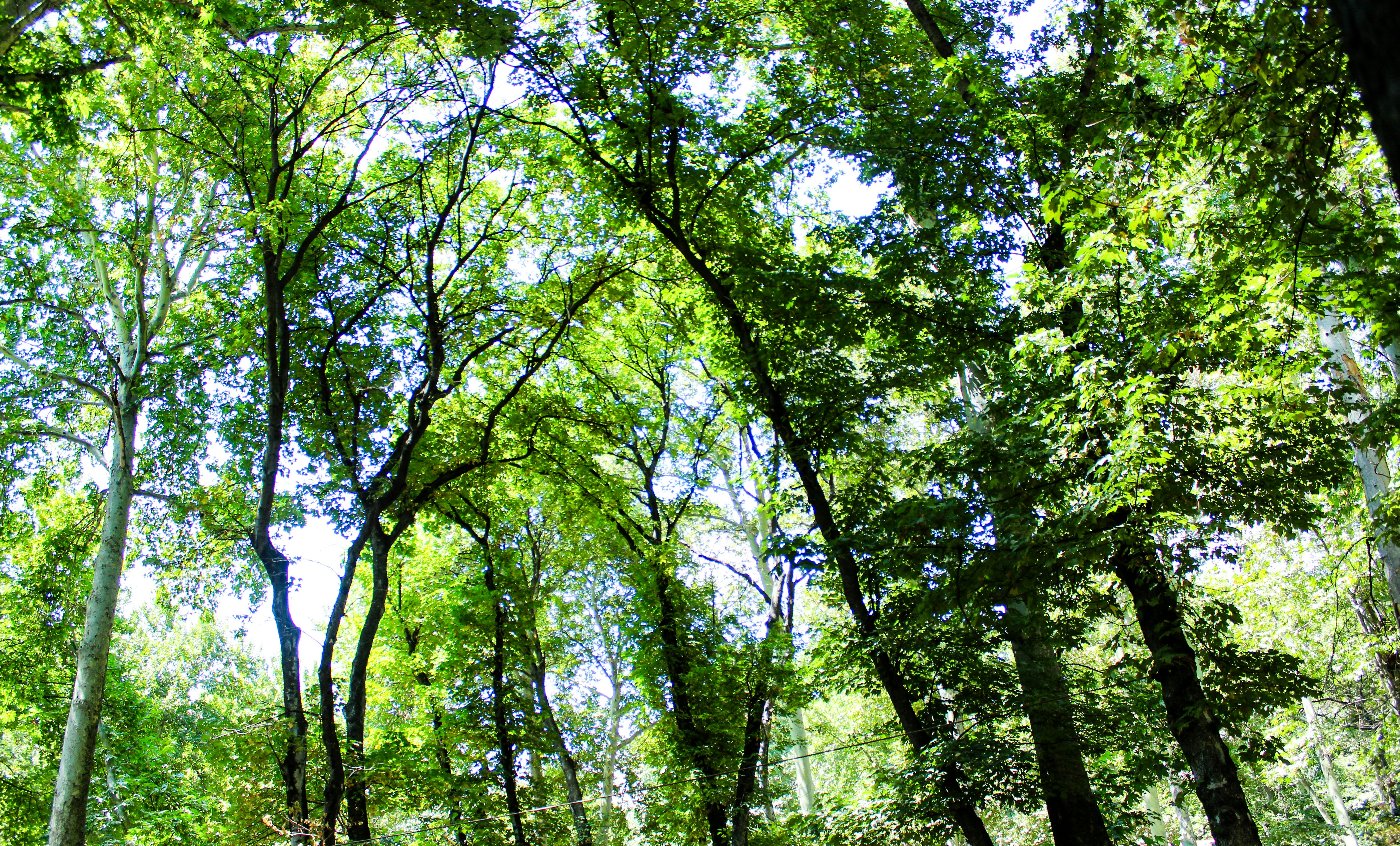 Photo by elham_frame