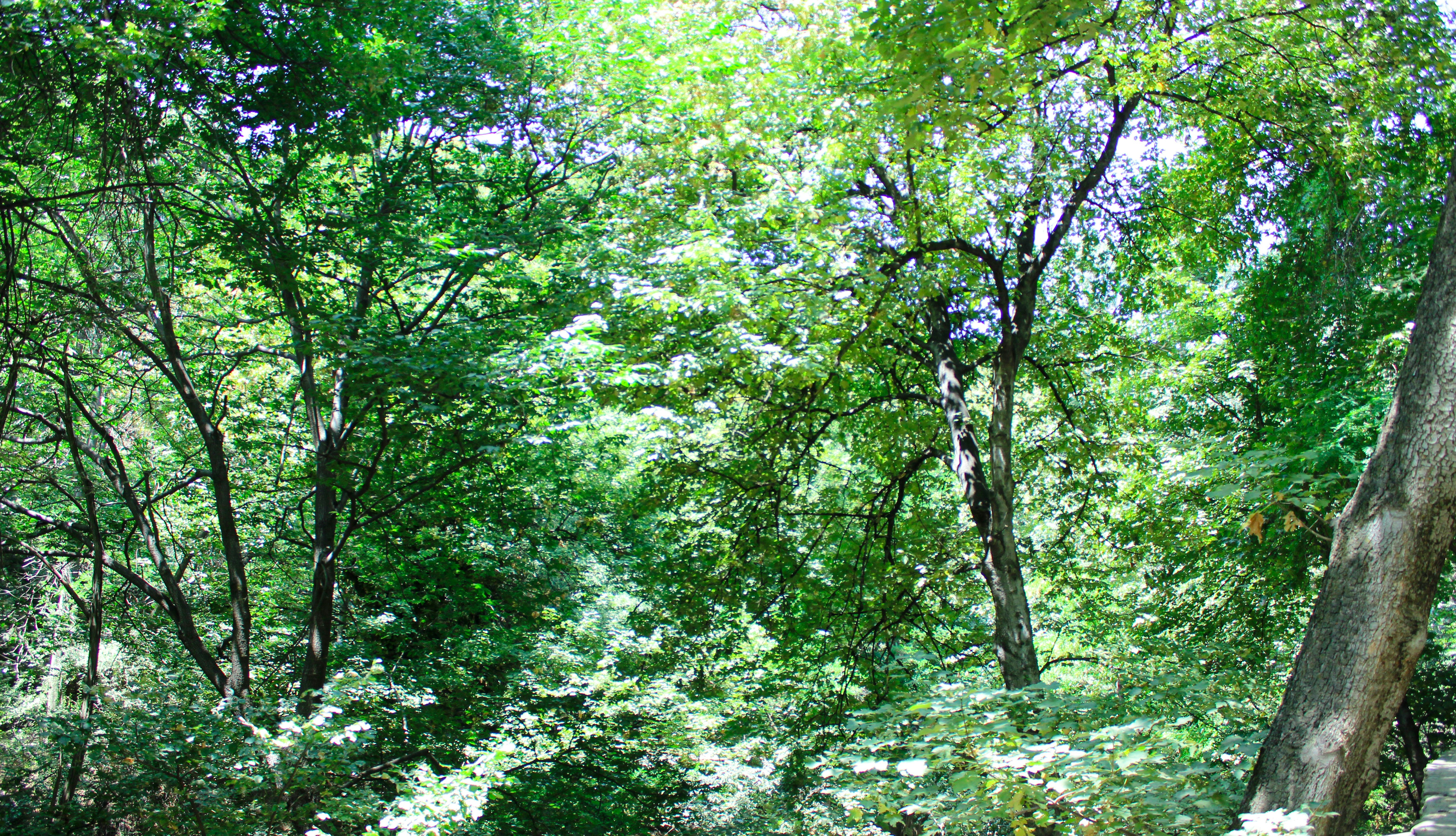 Photo by elham_frame