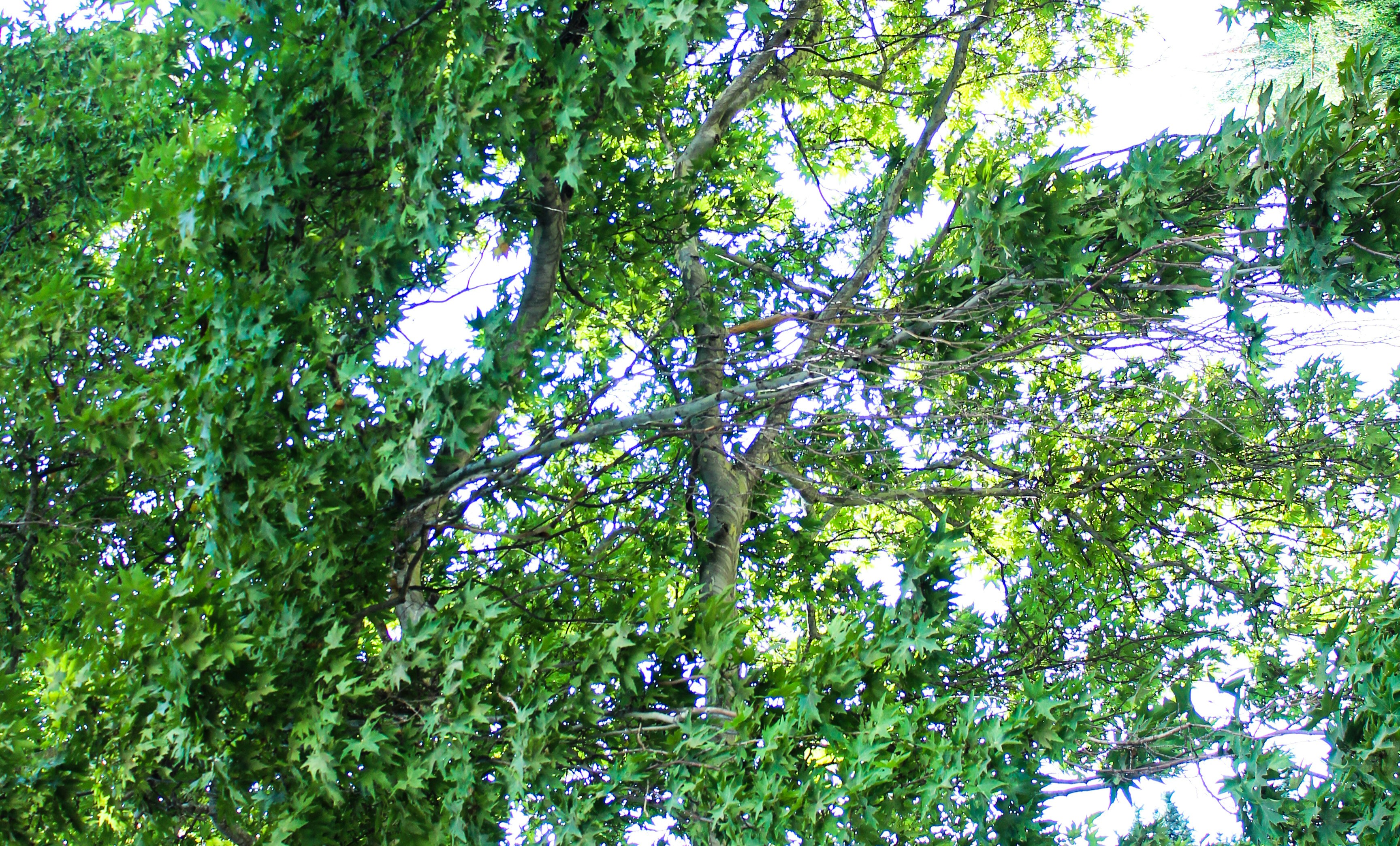 Photo by elham_frame