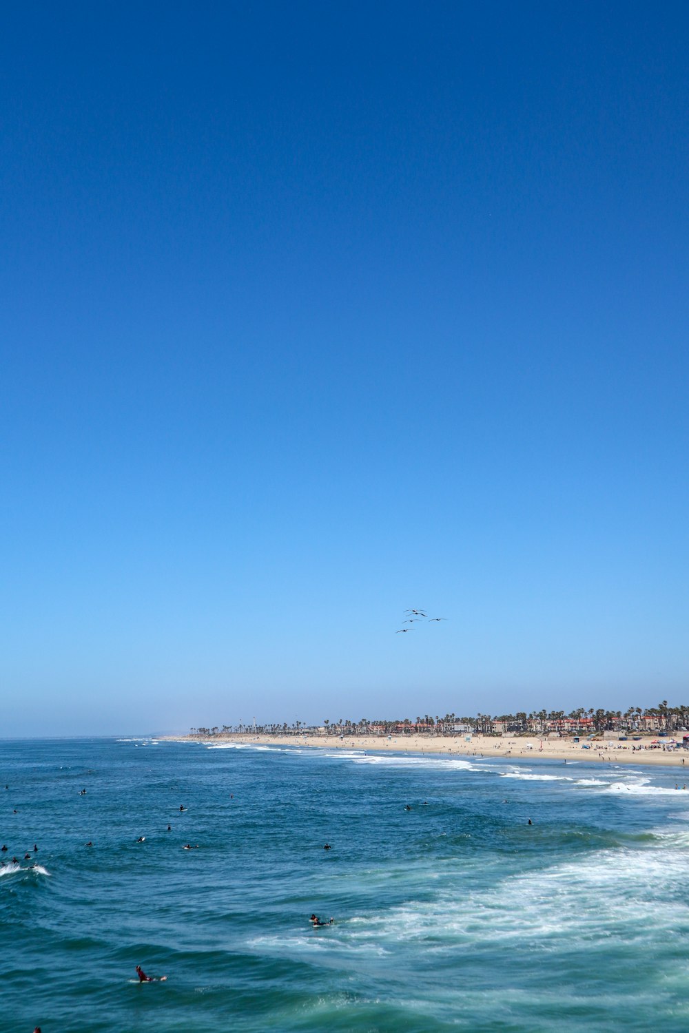 a group of people swimming in the ocean