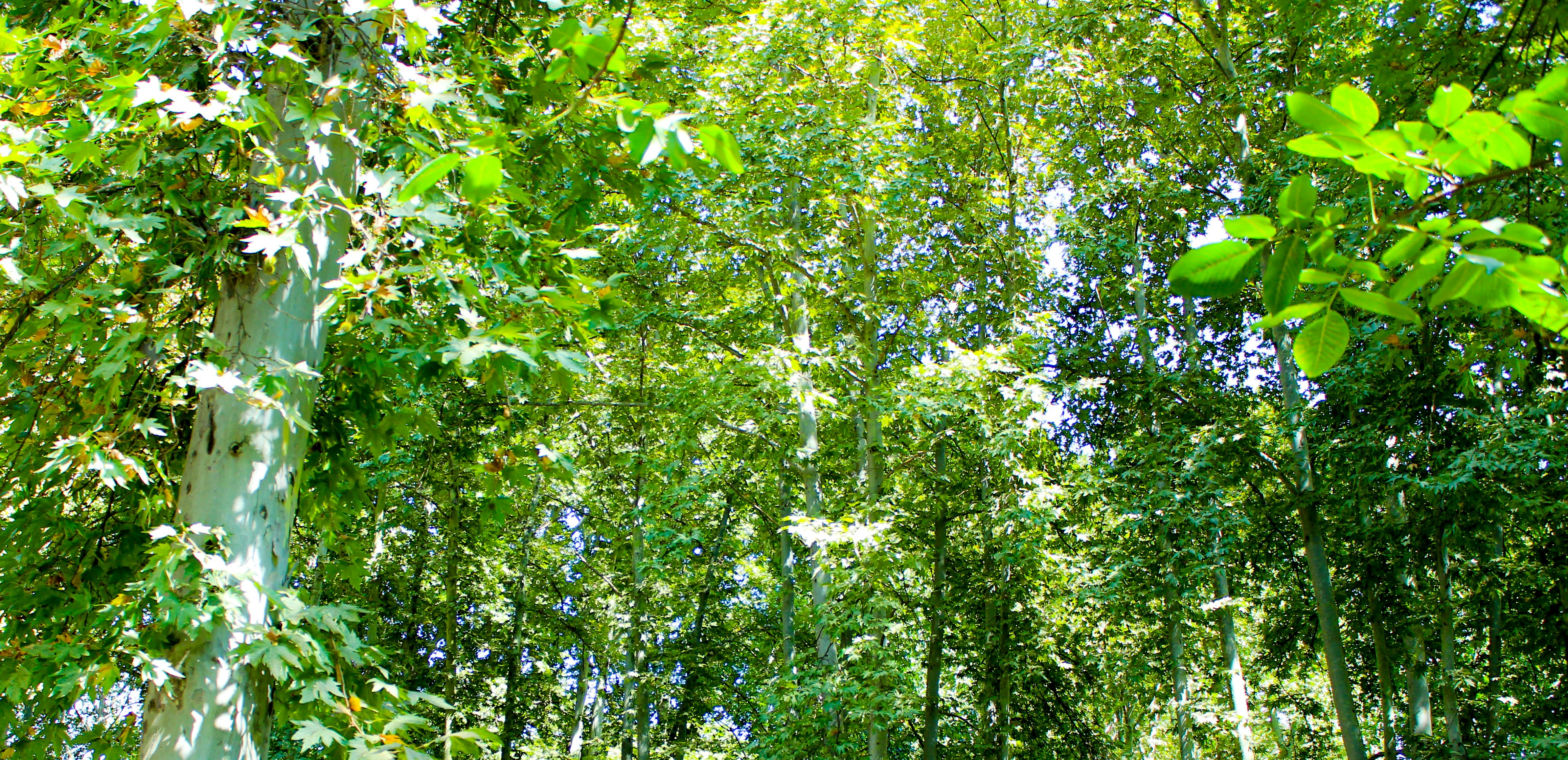 Photo by elham_frame