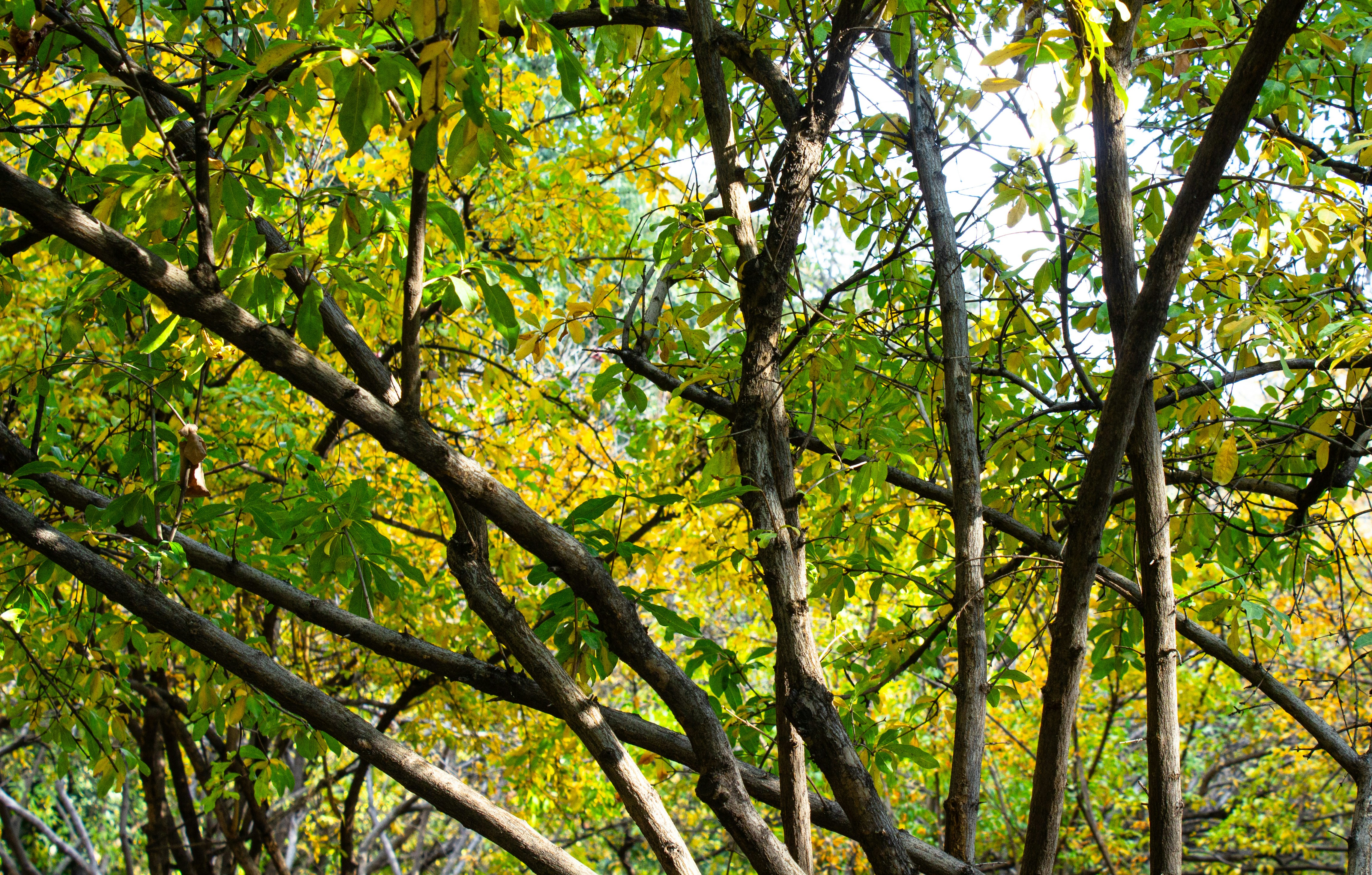 Photo by elham_frame