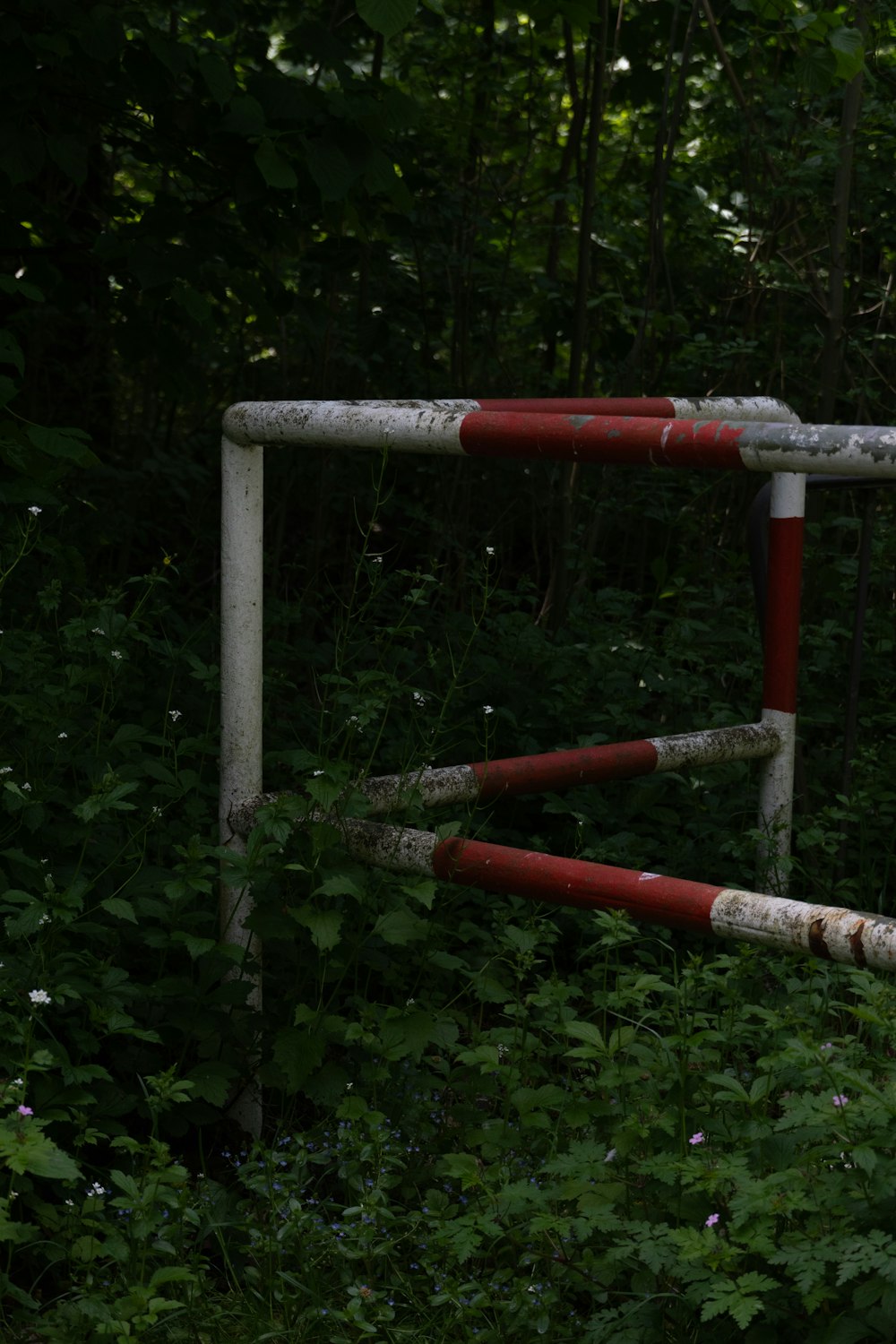 a red and white fire hydrant sitting in the middle of a forest