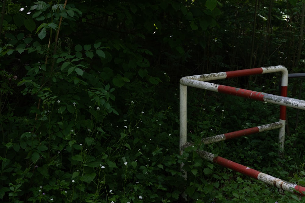 a red and white fire hydrant sitting next to a lush green forest