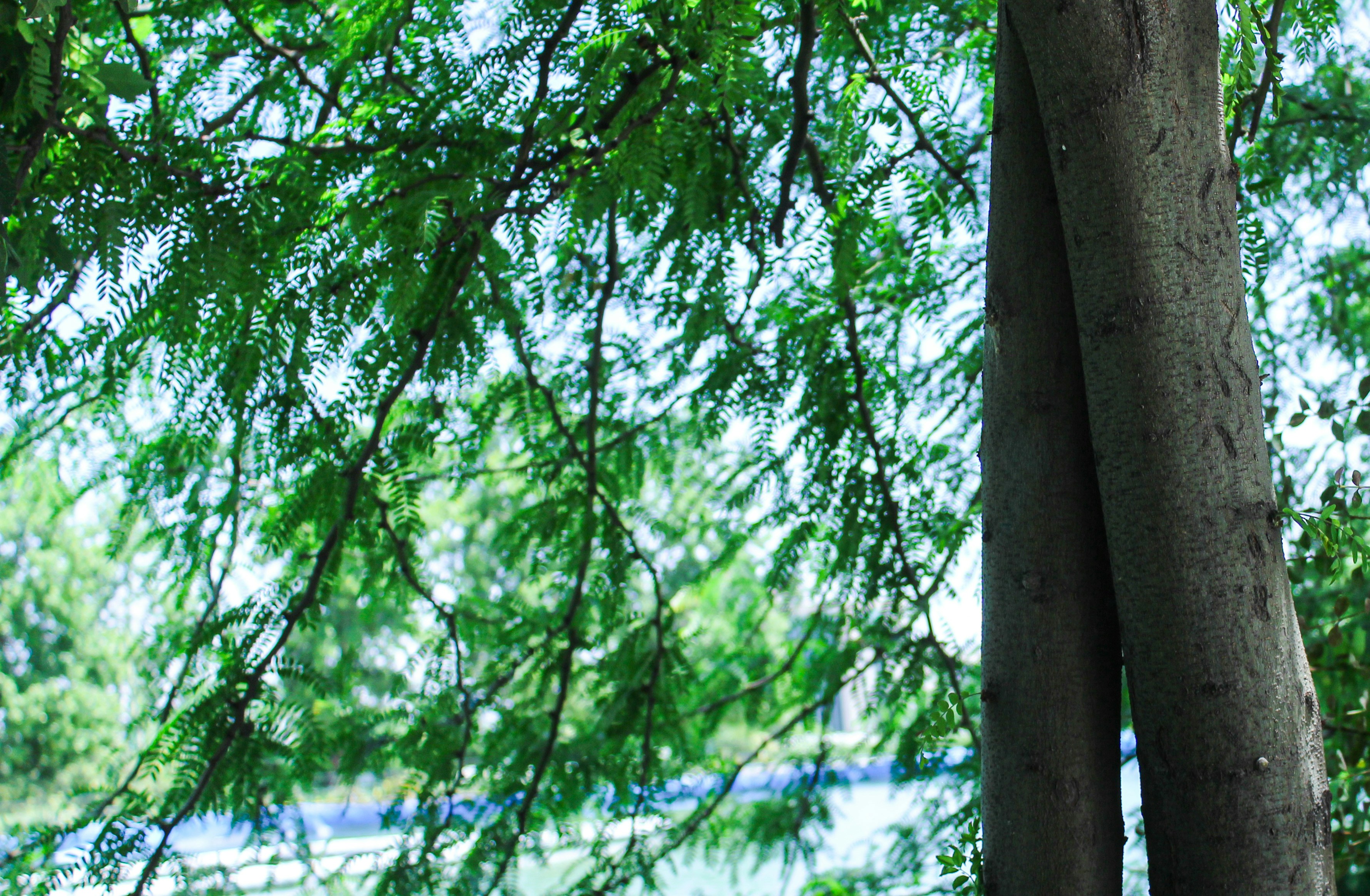 Photo by elham_frame