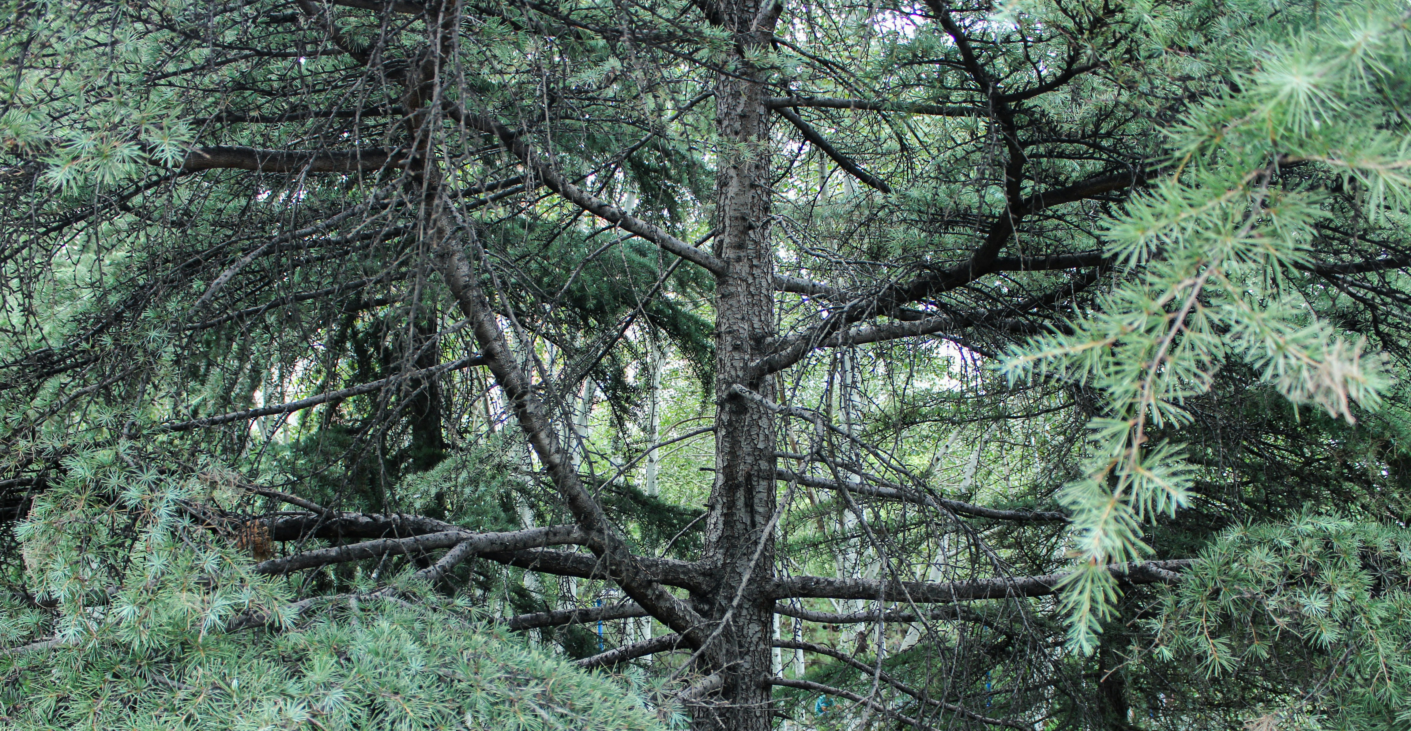 Photo by elham_frame