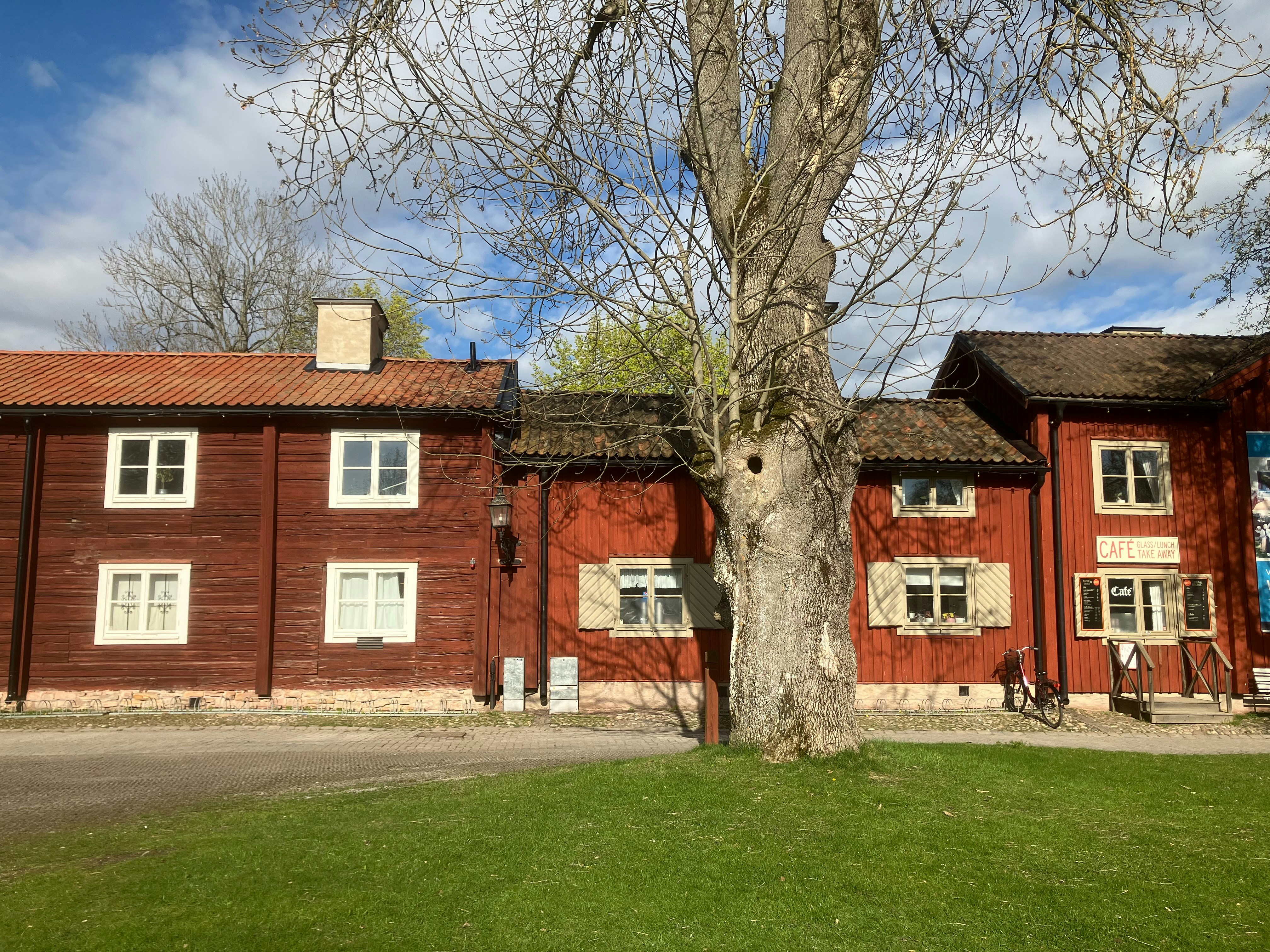 Stort träd framför en röd svensk villa