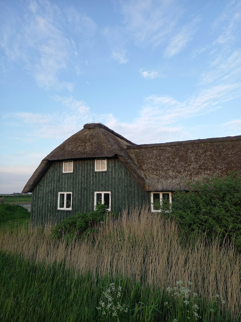 a green house with a thatched roof and windows