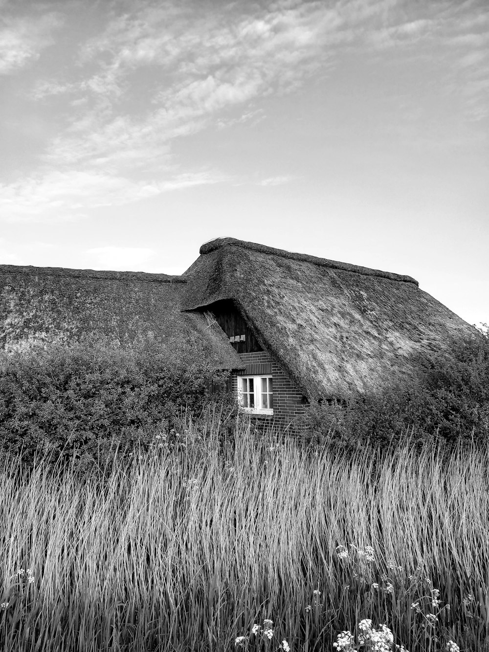 a black and white photo of a thatched roof house