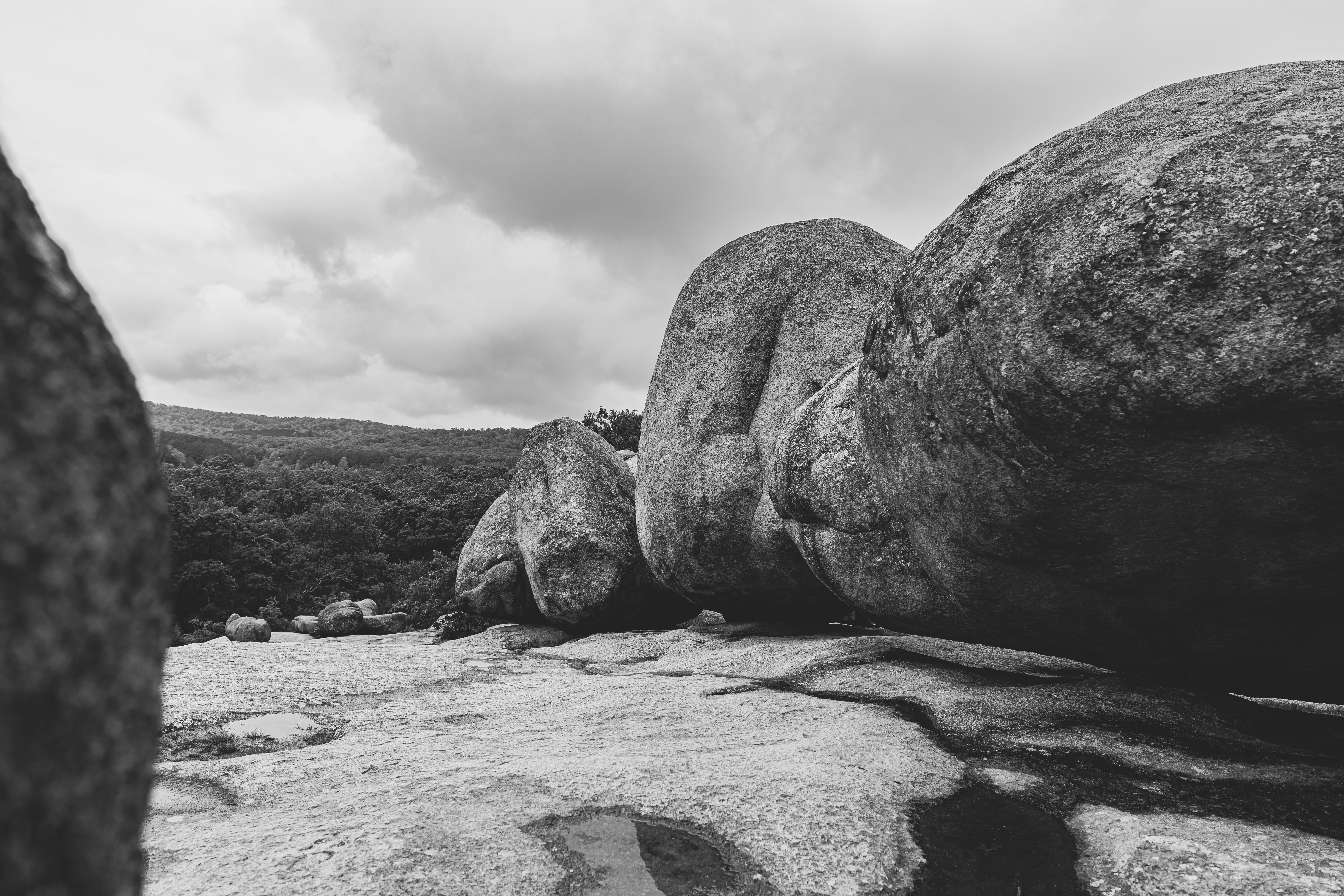 Photo by palmourphotography