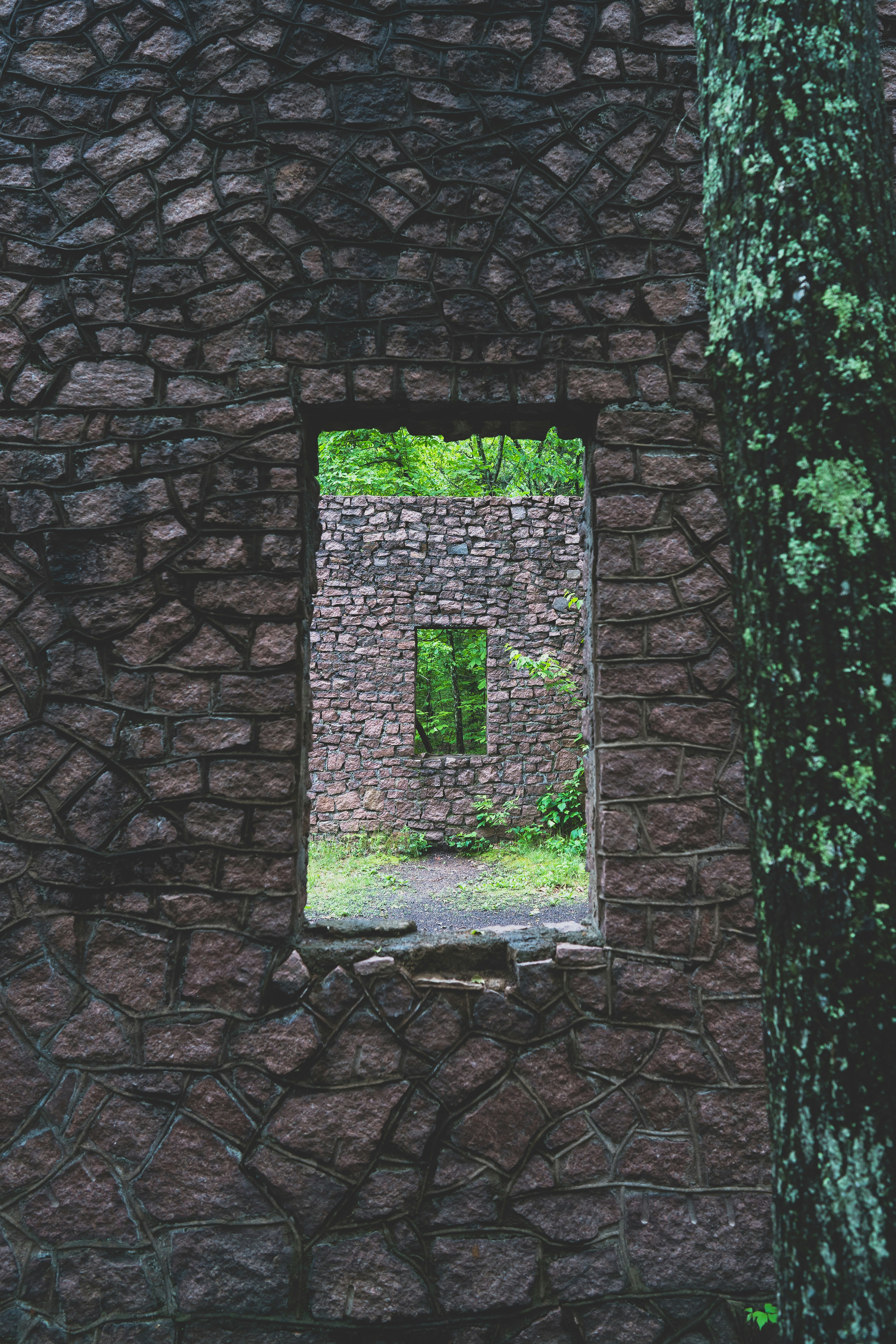 Photo by palmourphotography