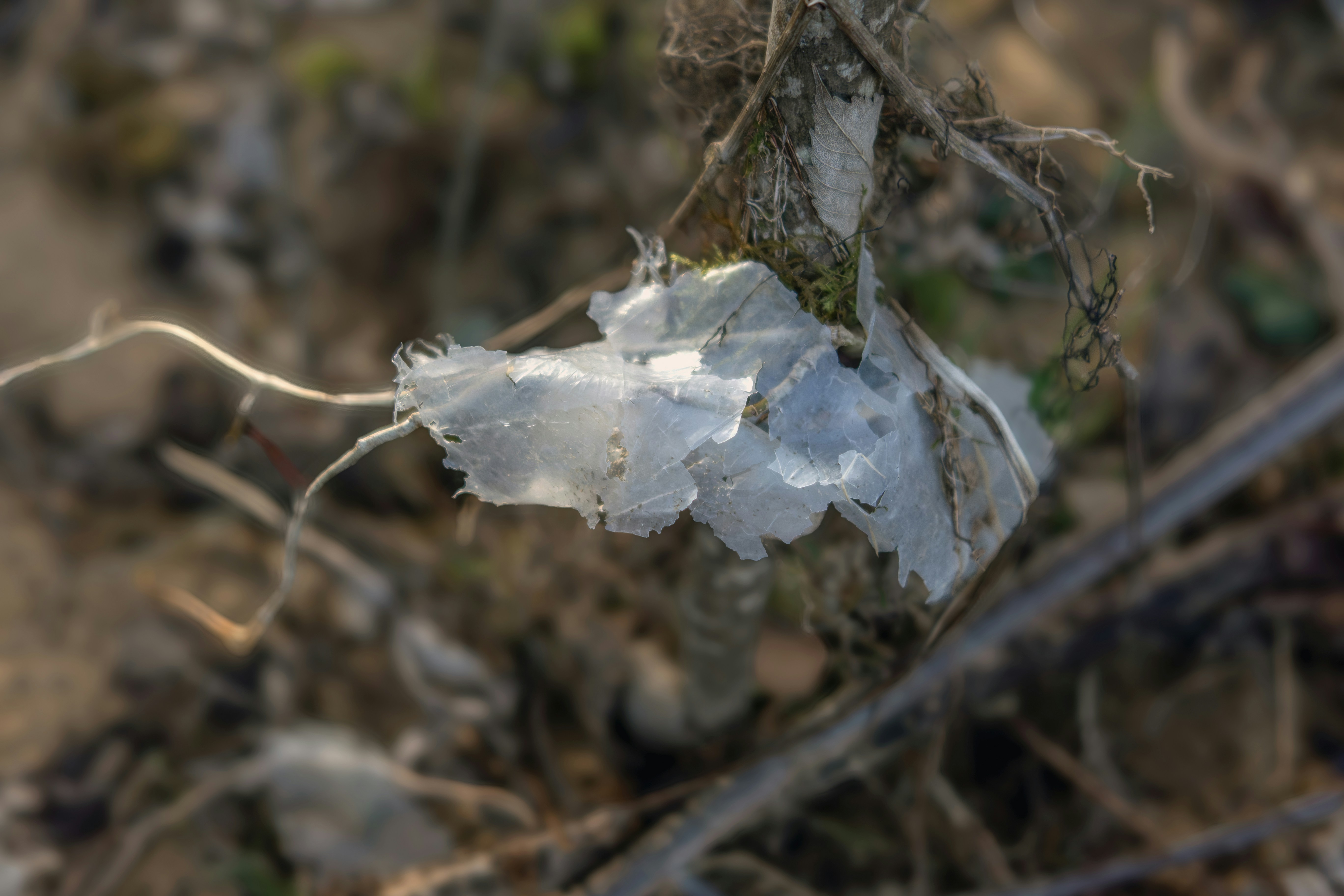 Emerging Threats and Future Challenges (image credits: unsplash)