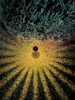 an aerial view of a field with a black object in the middle