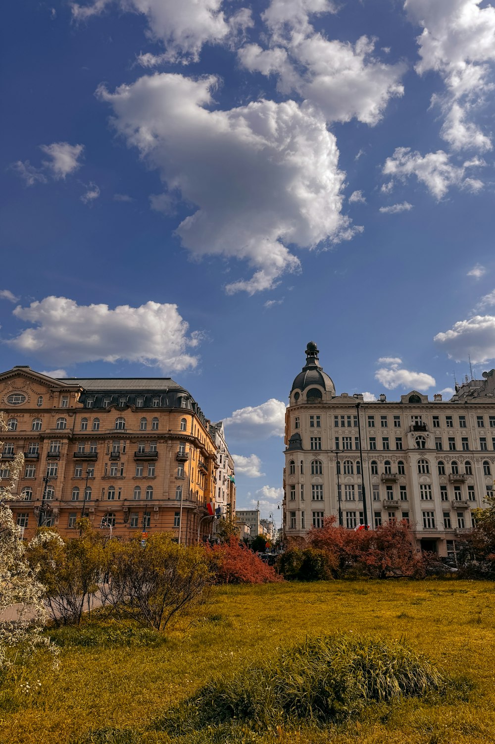 a grassy field with buildings in the background