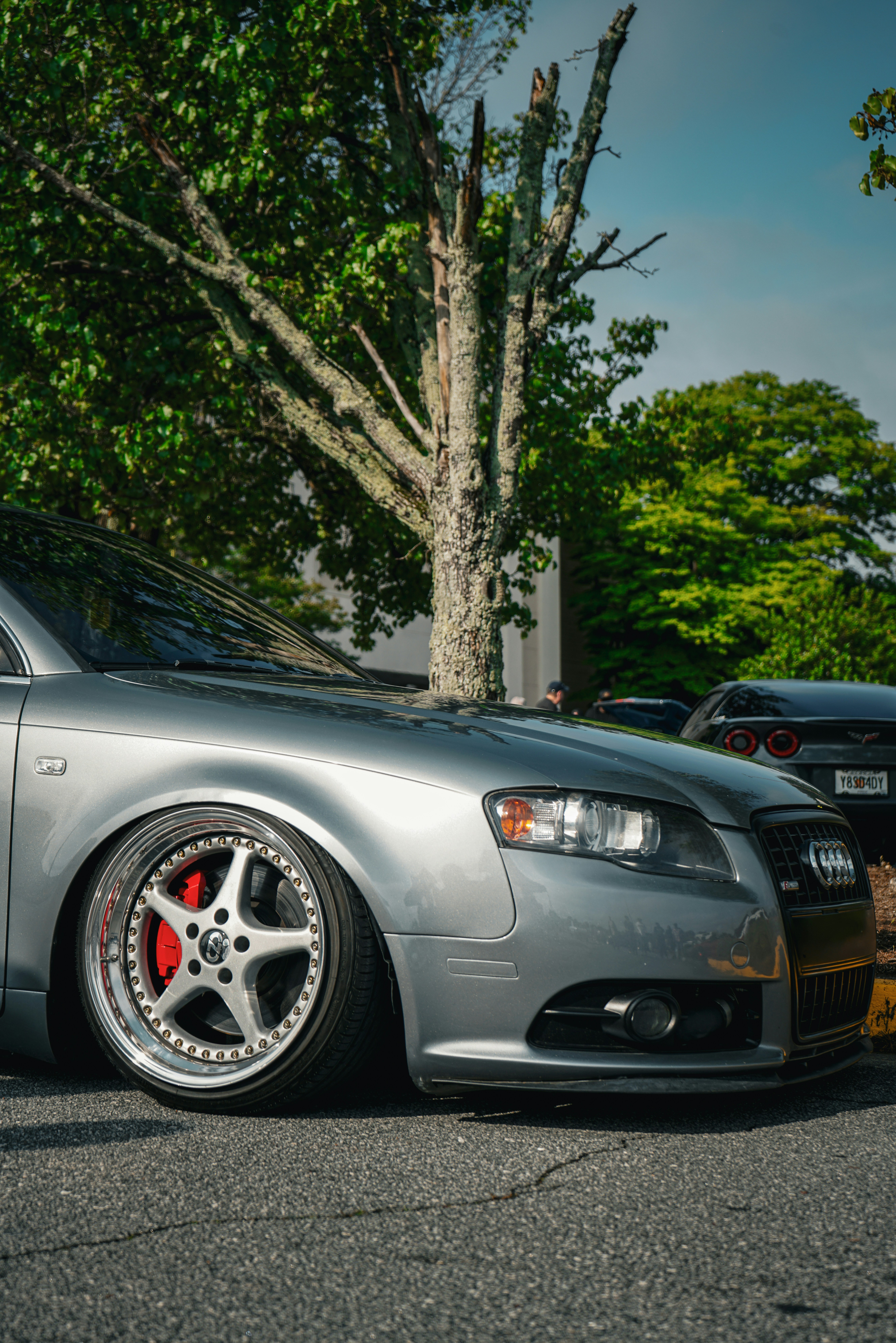 Photo by forged_carbonn