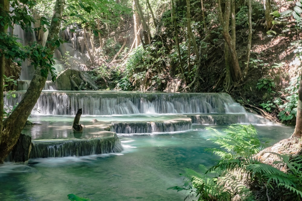 a small waterfall in the middle of a forest