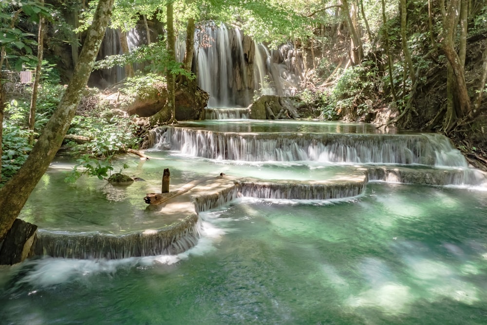 a waterfall in the middle of a forest